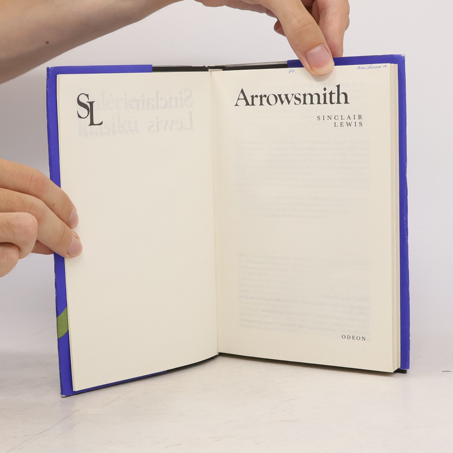 Sinclair Lewis Arrowsmith