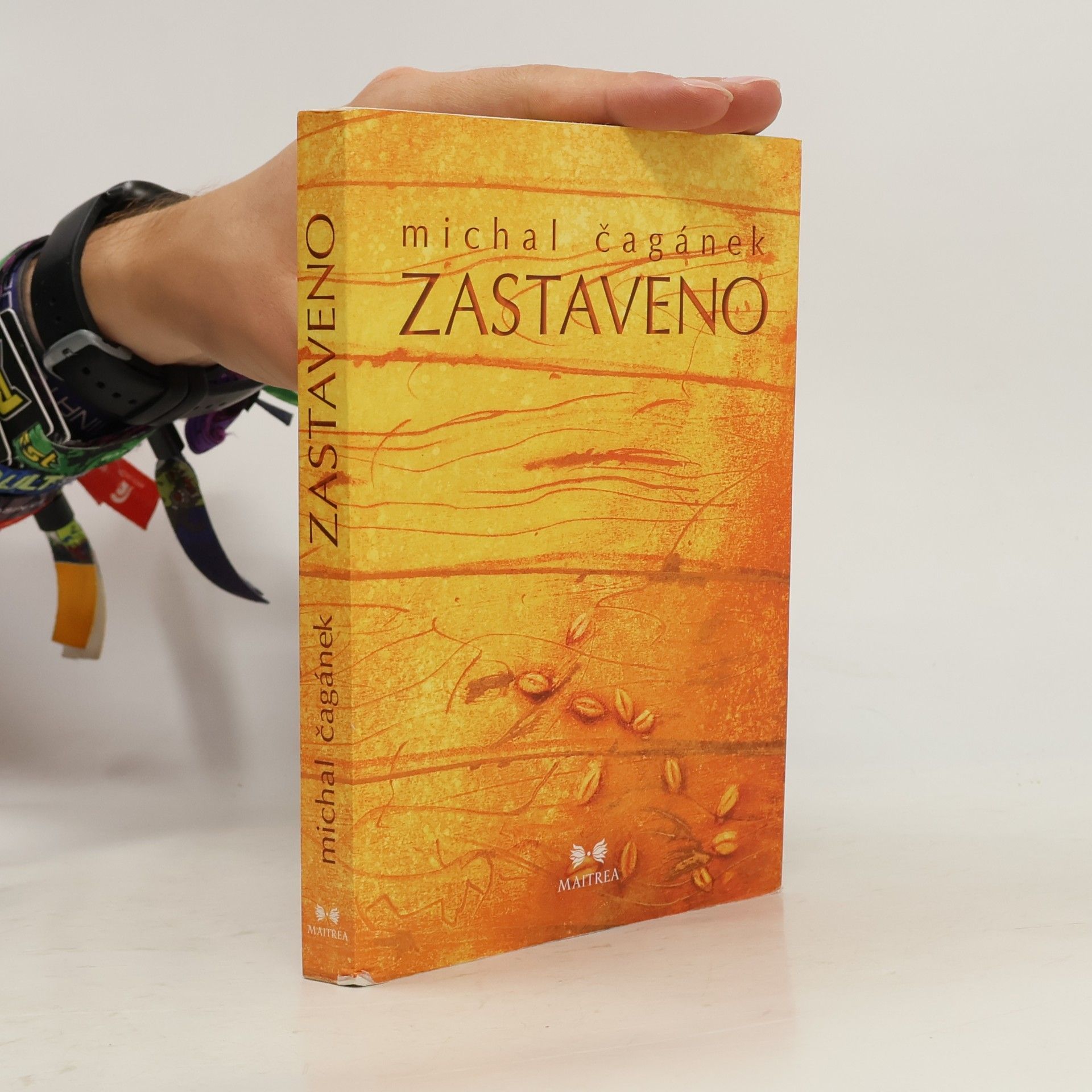 Zastaveno