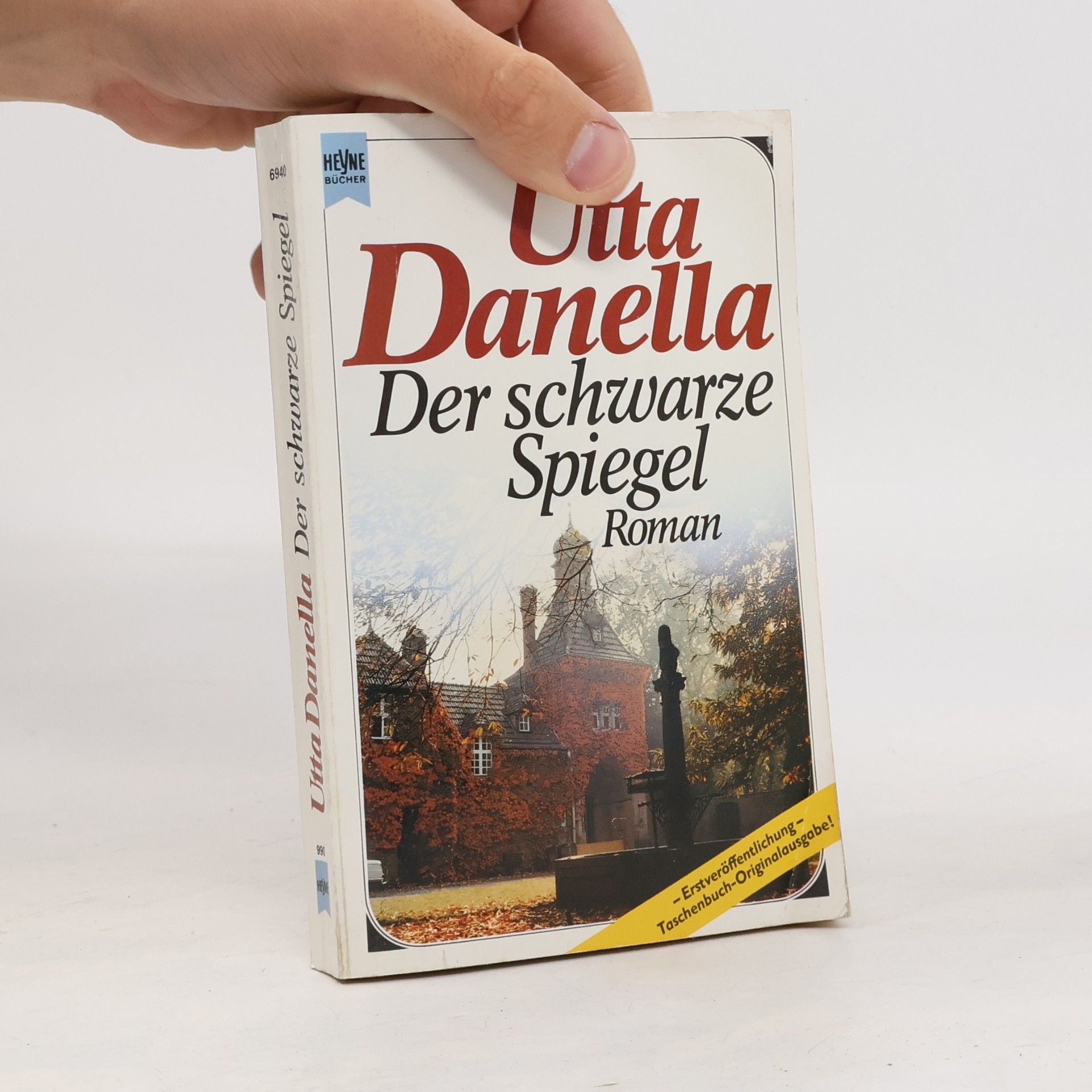 Utta Danella Der schwarze Spiegel