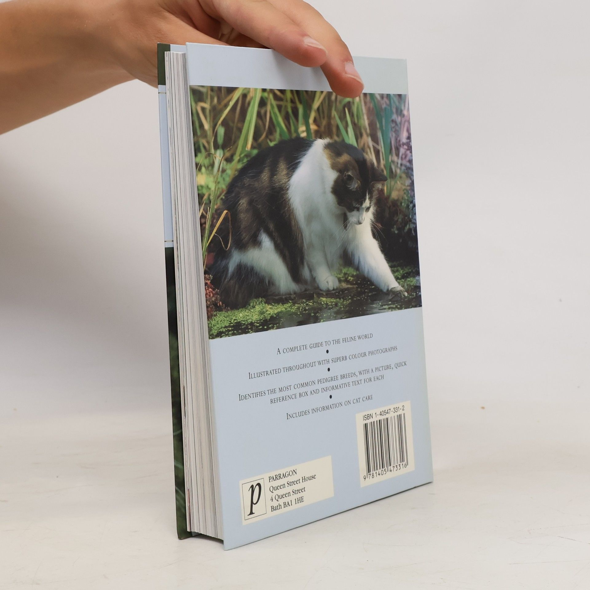 Emily Williams A Concise Guide to Cats