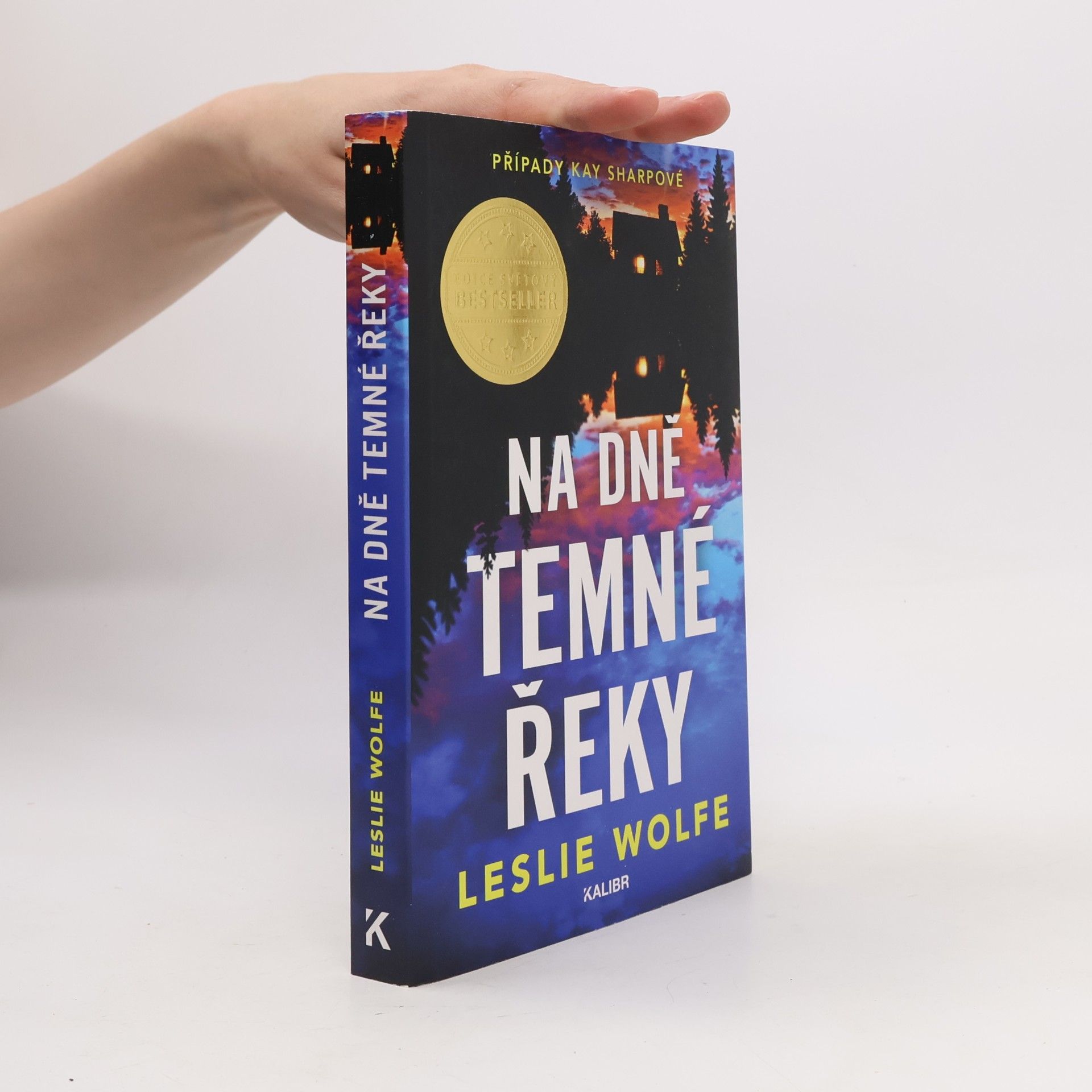 Leslie Wolfe Na dně Temné řeky