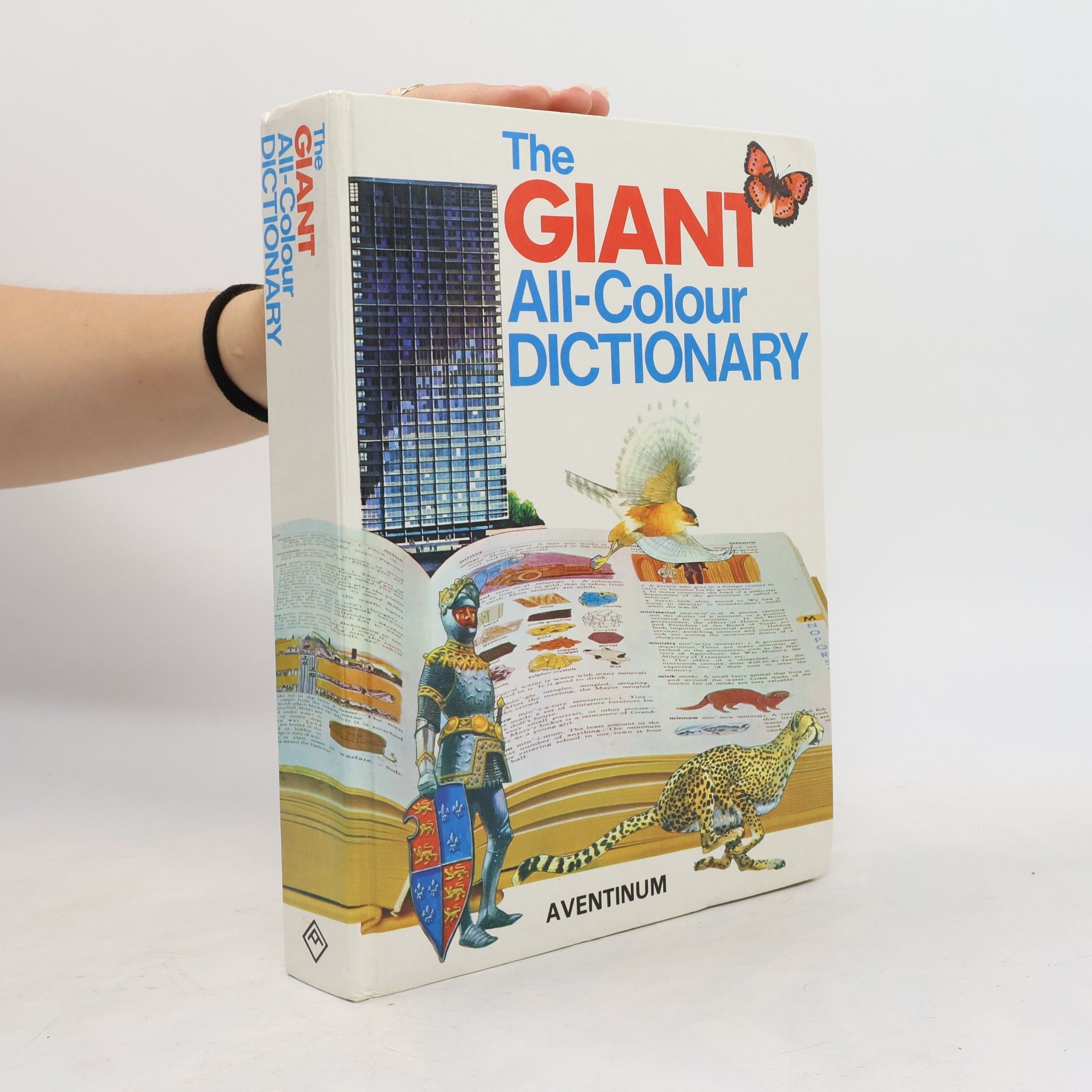 Stuart A. Courtis The Giant All-Colour Dictionary