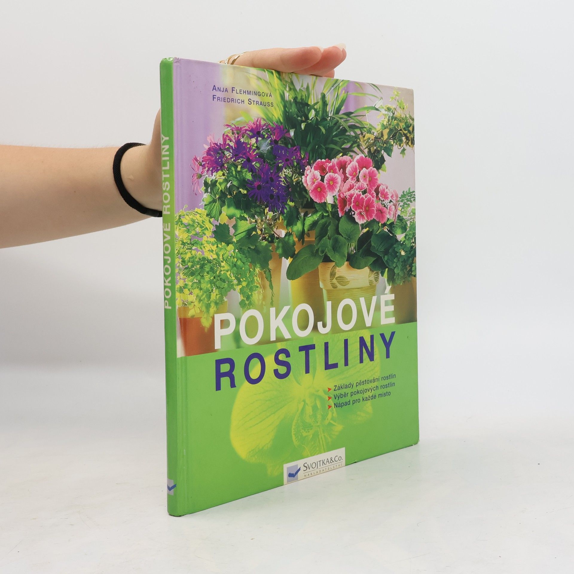 Anja Flehming Pokojové rostliny