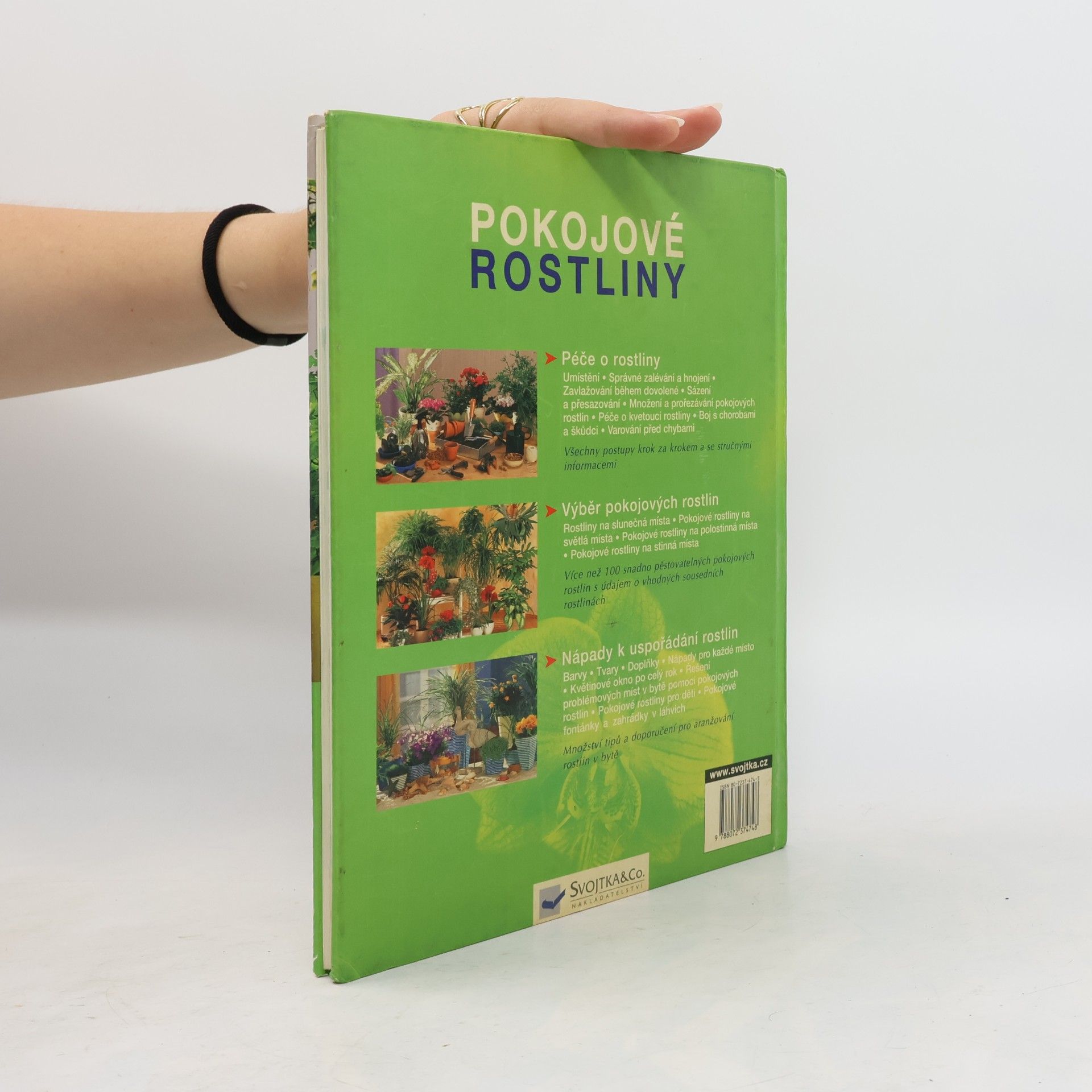Anja Flehming Pokojové rostliny