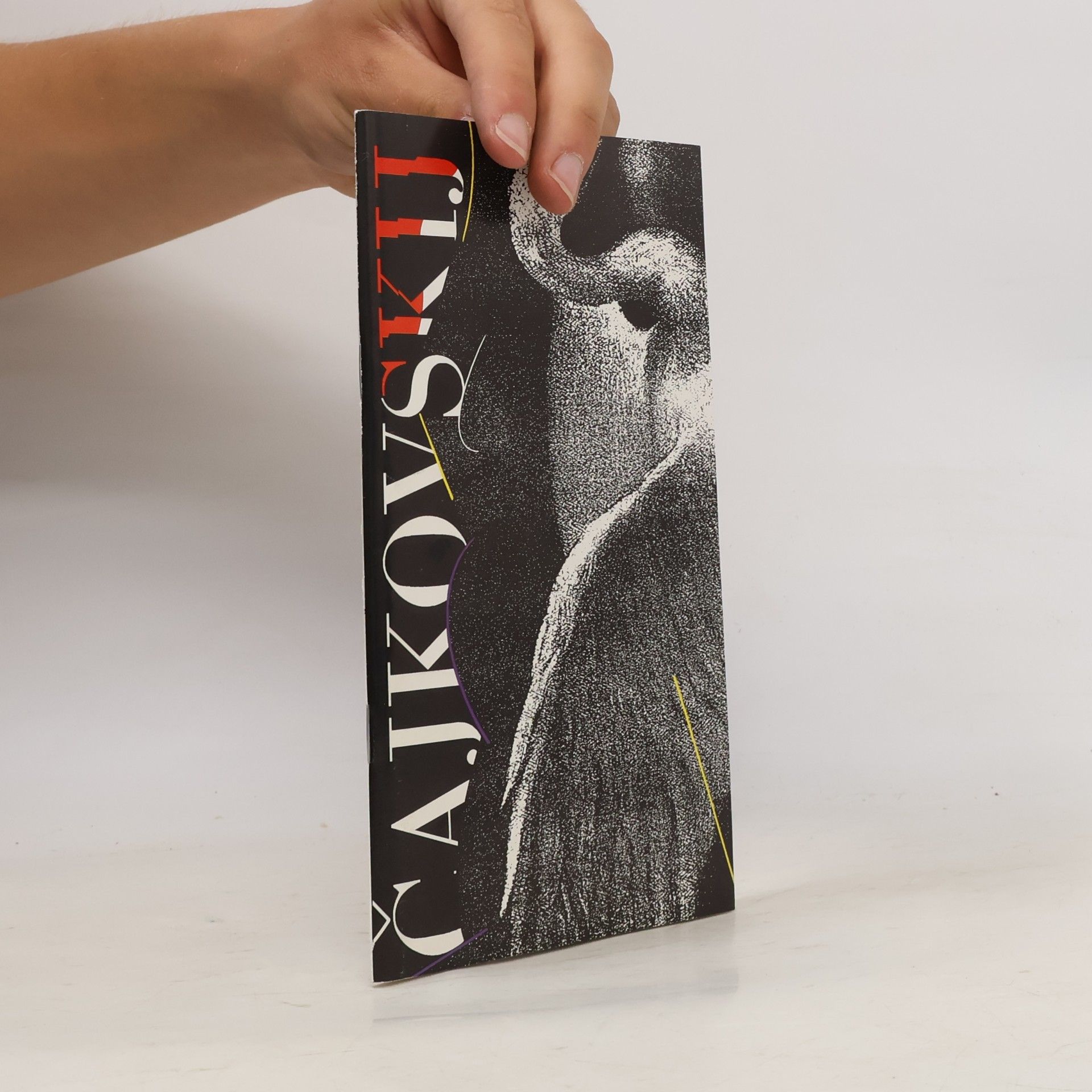 Autores varios Čajkovskij