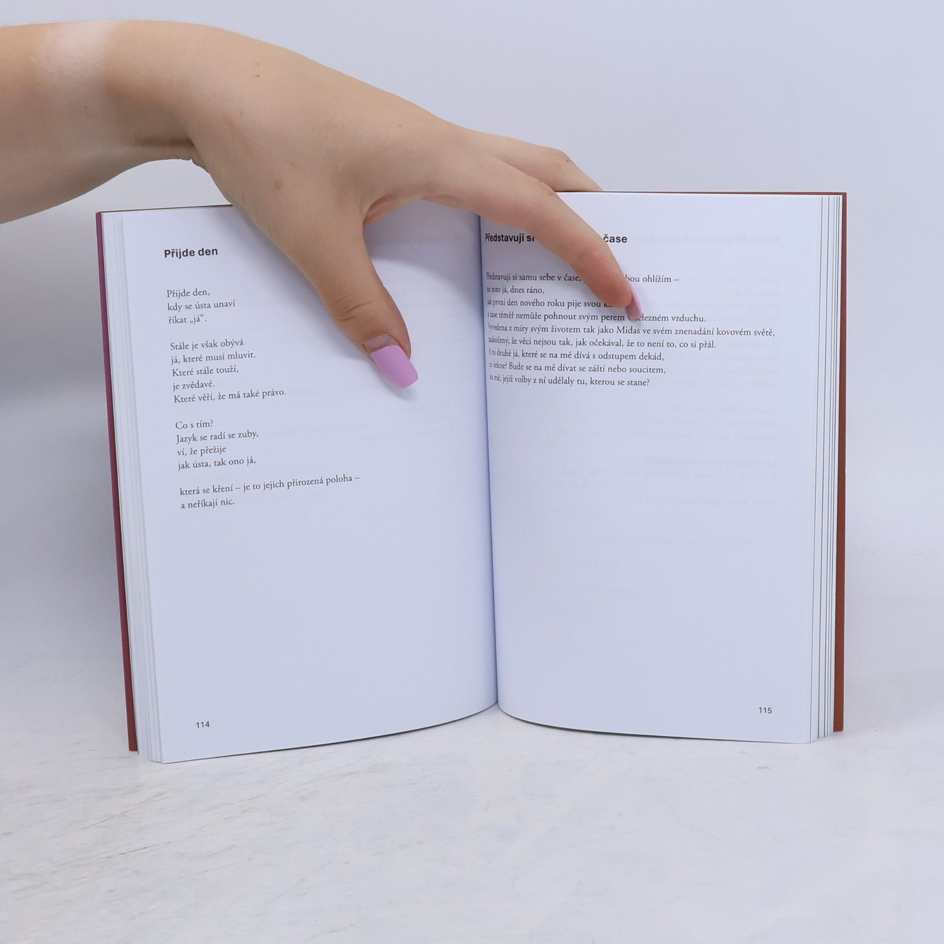 Jane Hirshfield Žádný jiný život nebyl