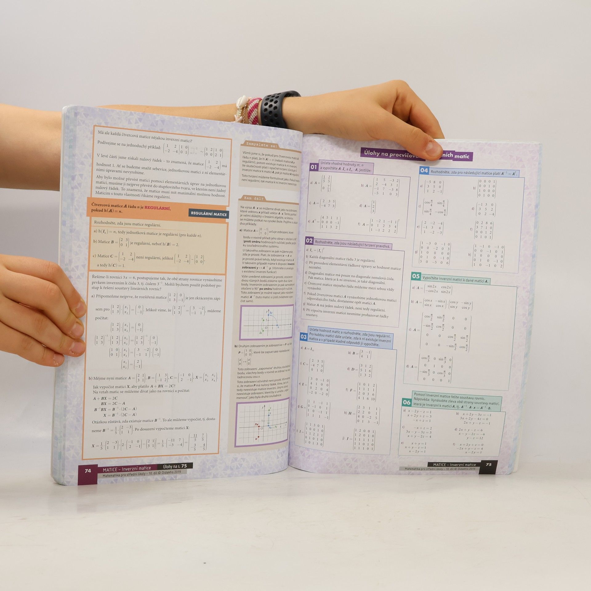 Václav Zemek Matematika pro střední školy. 10. díl, Komplexní čísla, polynomy, matice, základy diferenciálního a integrálního počtu. Učebnice