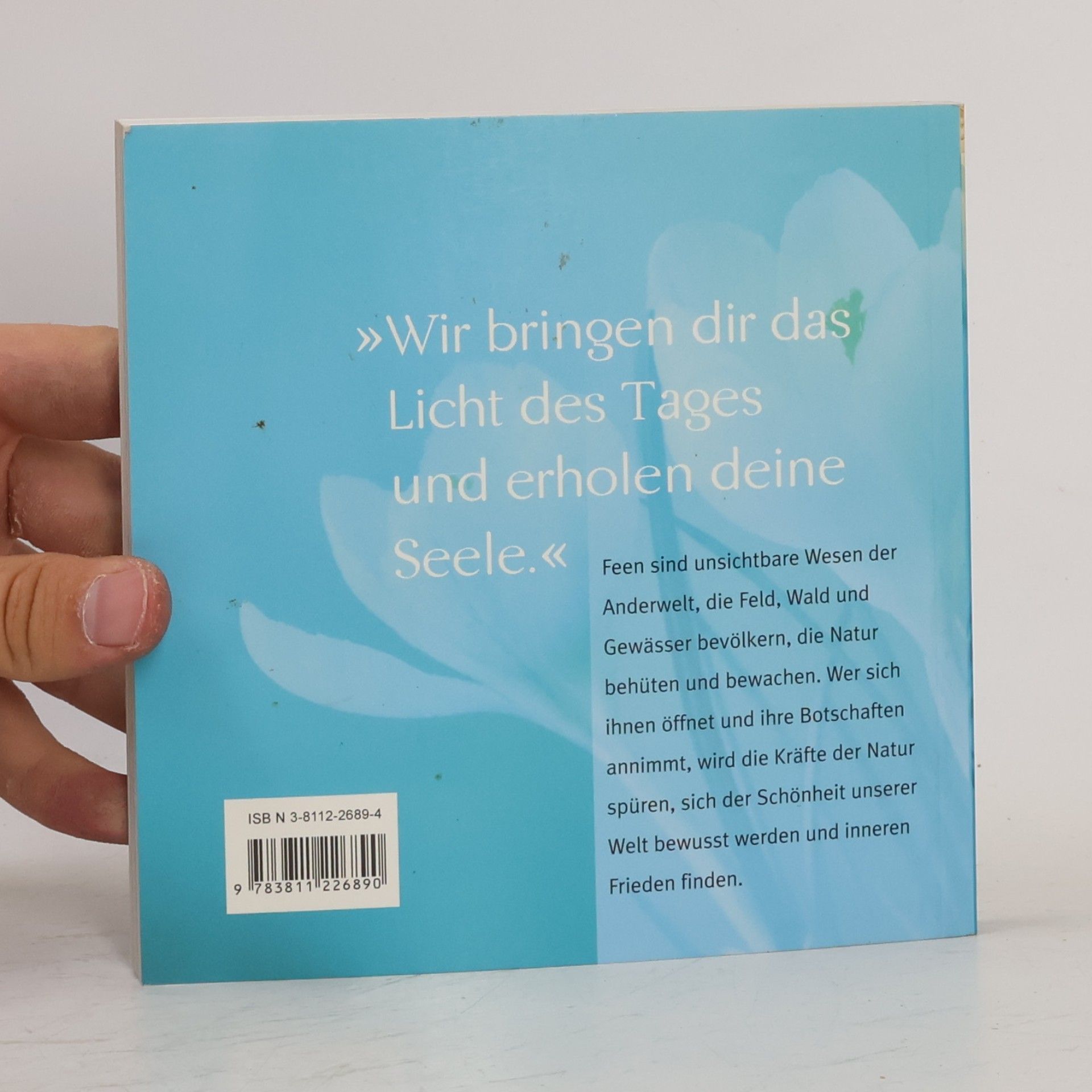 Zora Gienger Zauber der Feen