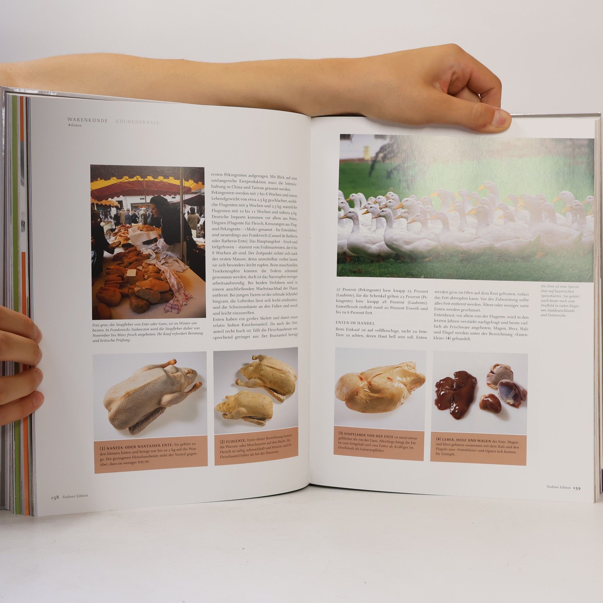 Christian Teubner Fleisch und Wild