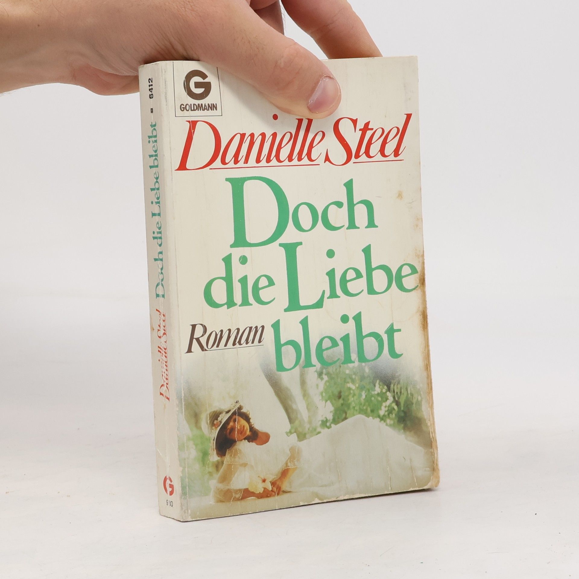 Danielle Steel Doch die Liebe bleibt