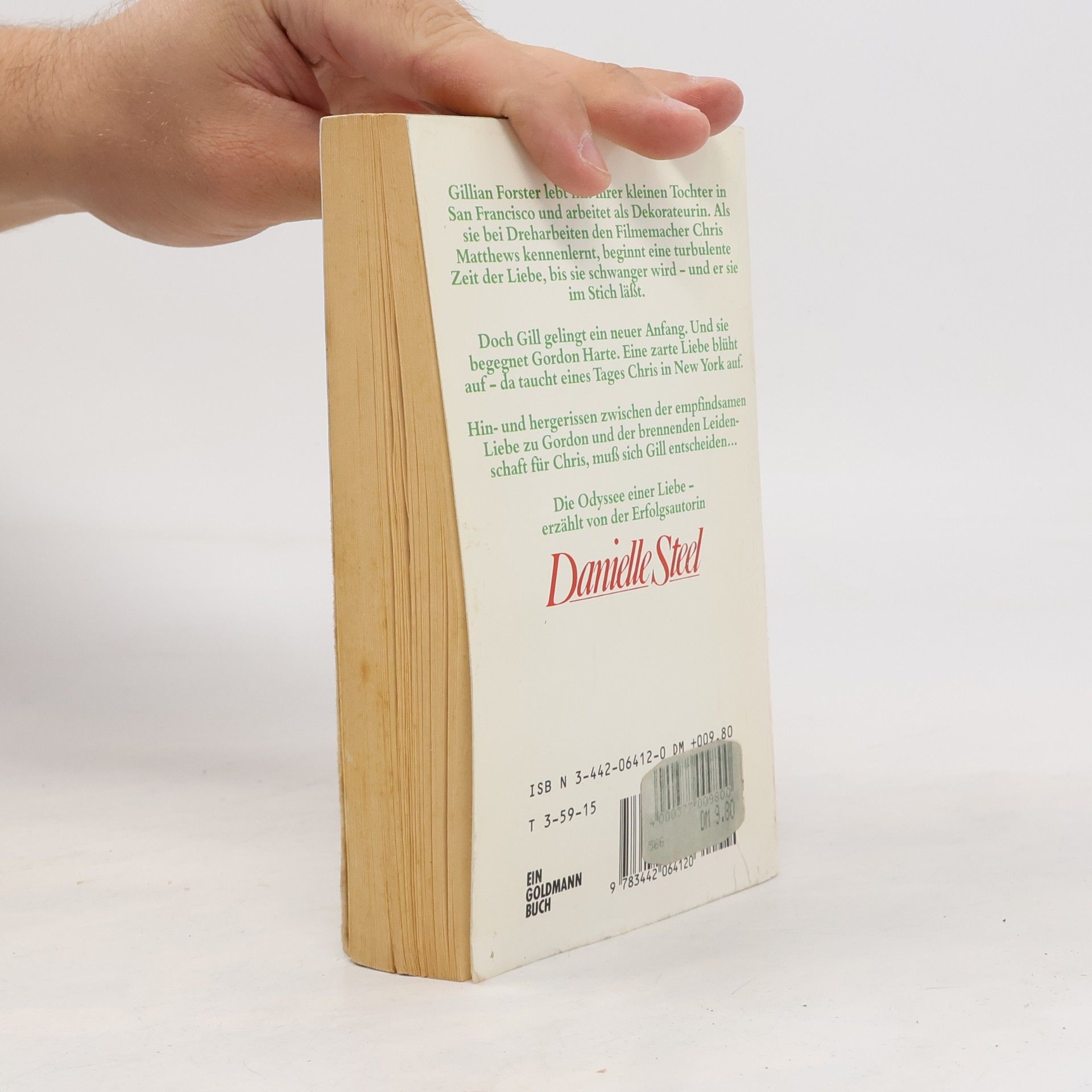 Danielle Steel Doch die Liebe bleibt