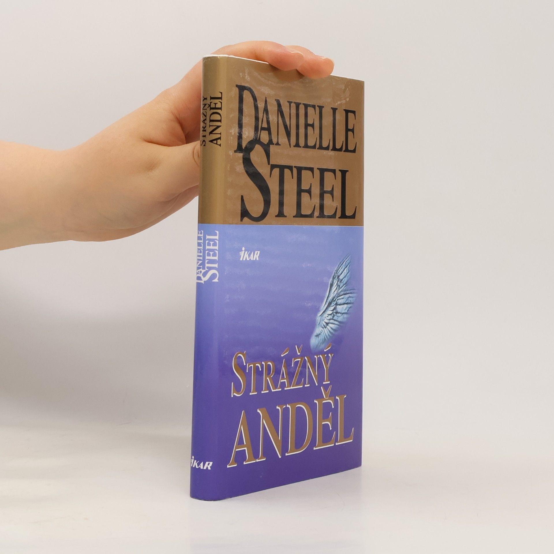 Danielle Steel Strážný anděl