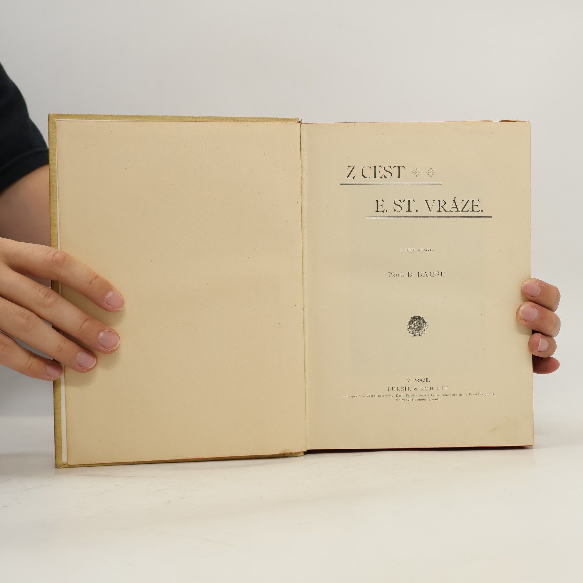 Enrique Stanko Vráz Z cest E. St. Vráze