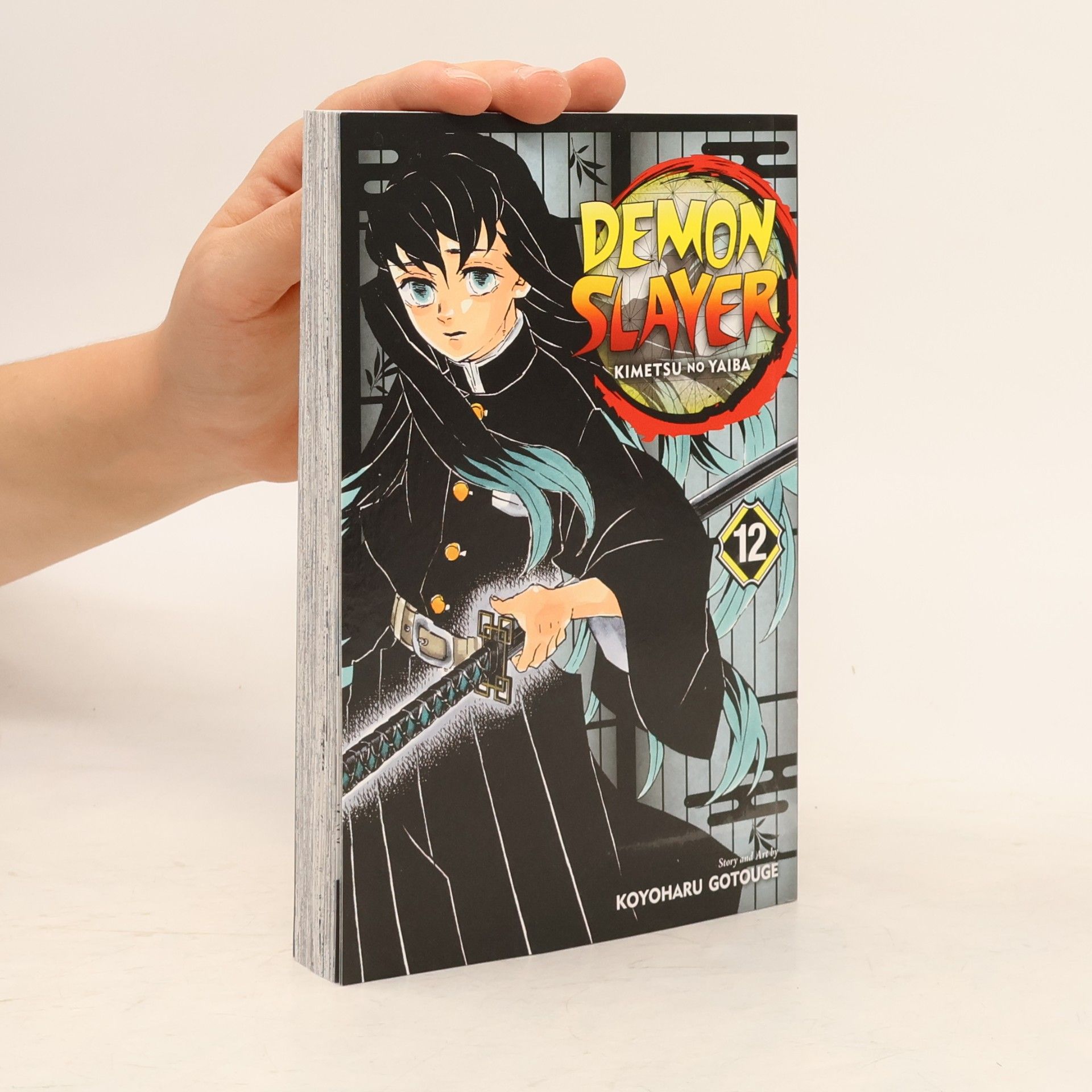 Demon Slayer. Kimetsu no Yaiba 12