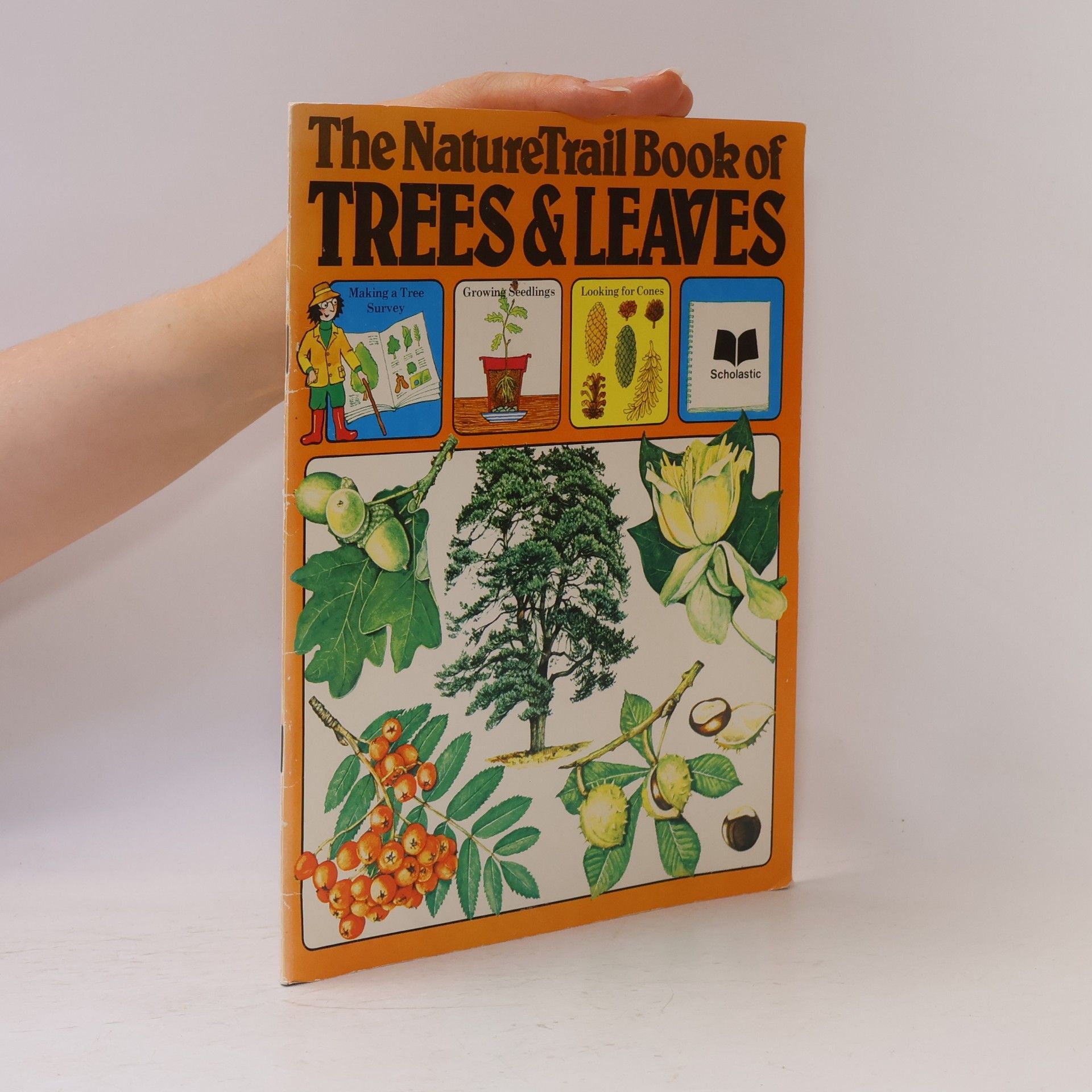Christine Darter The NatureTrail Book of Trees & Leaves