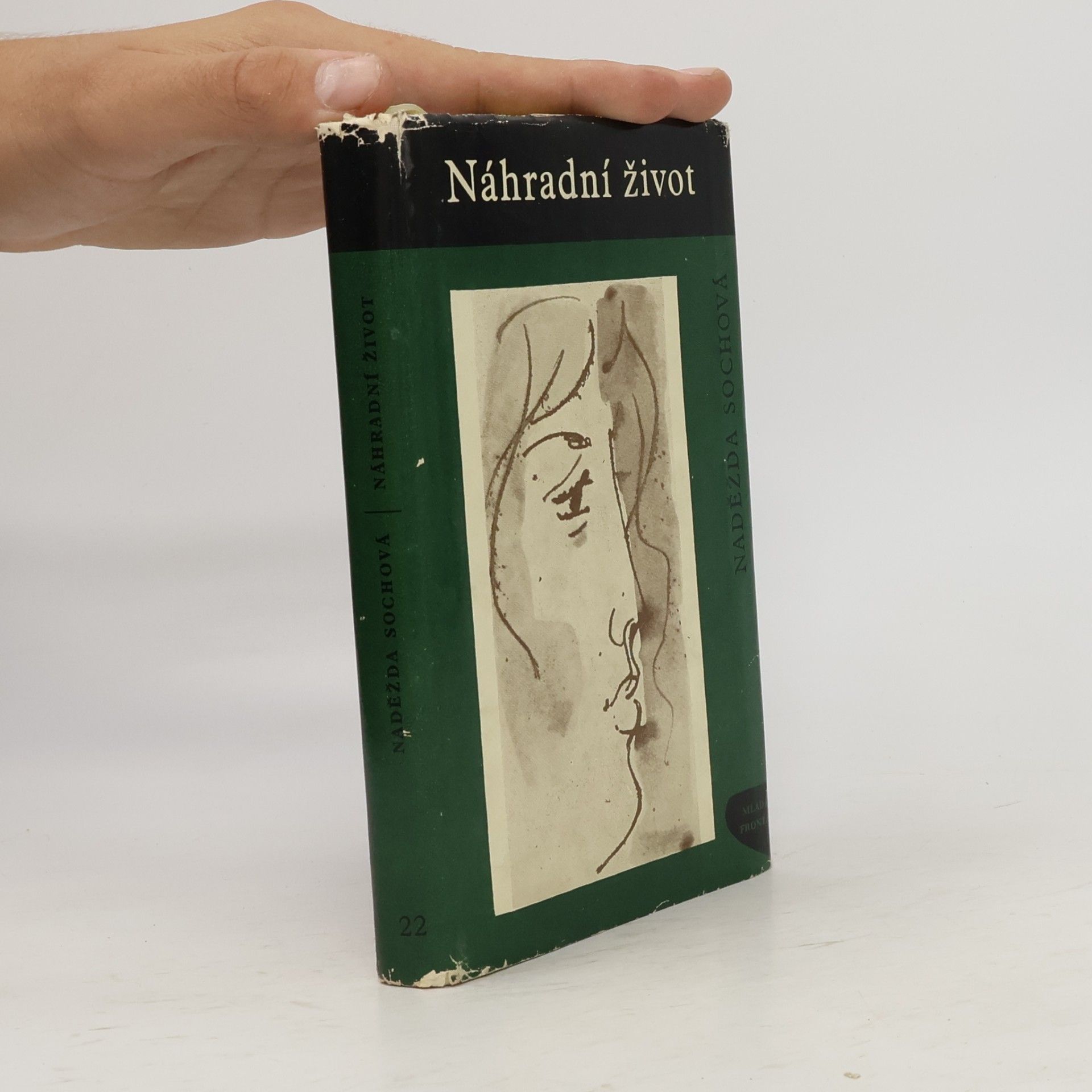 Naděžda Sochová Náhradní život