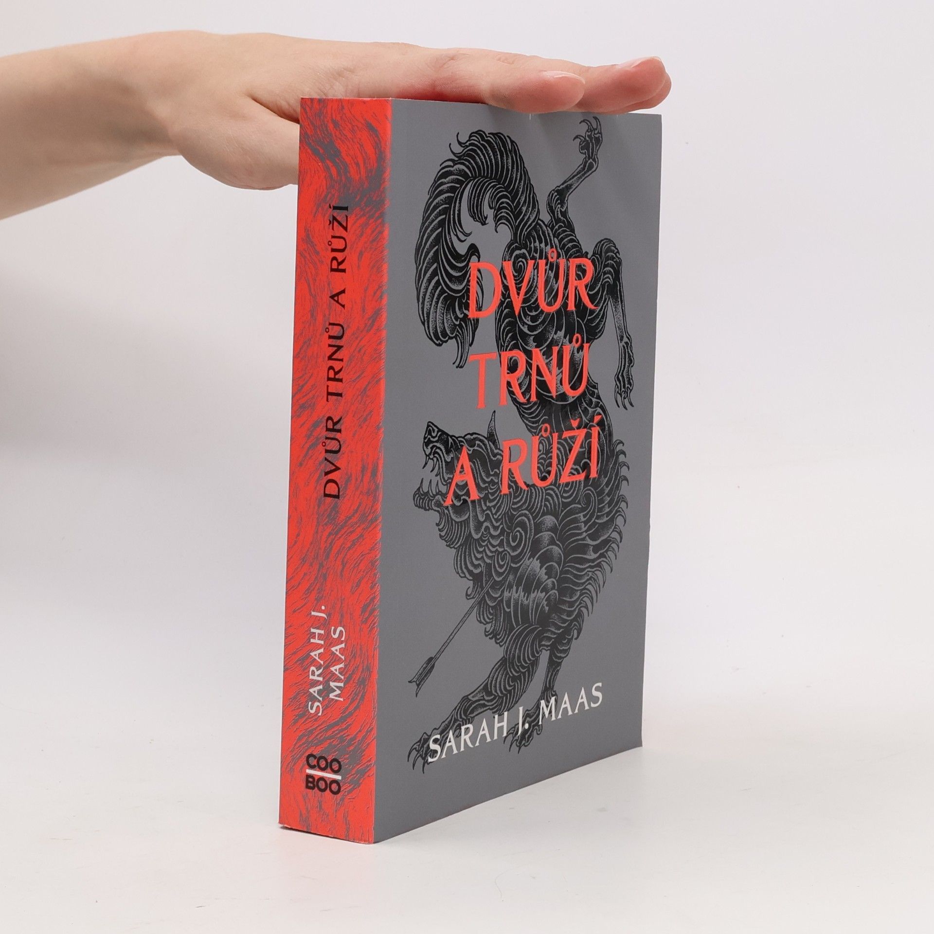 Sarah J. Maasová Dvůr trnů a růží