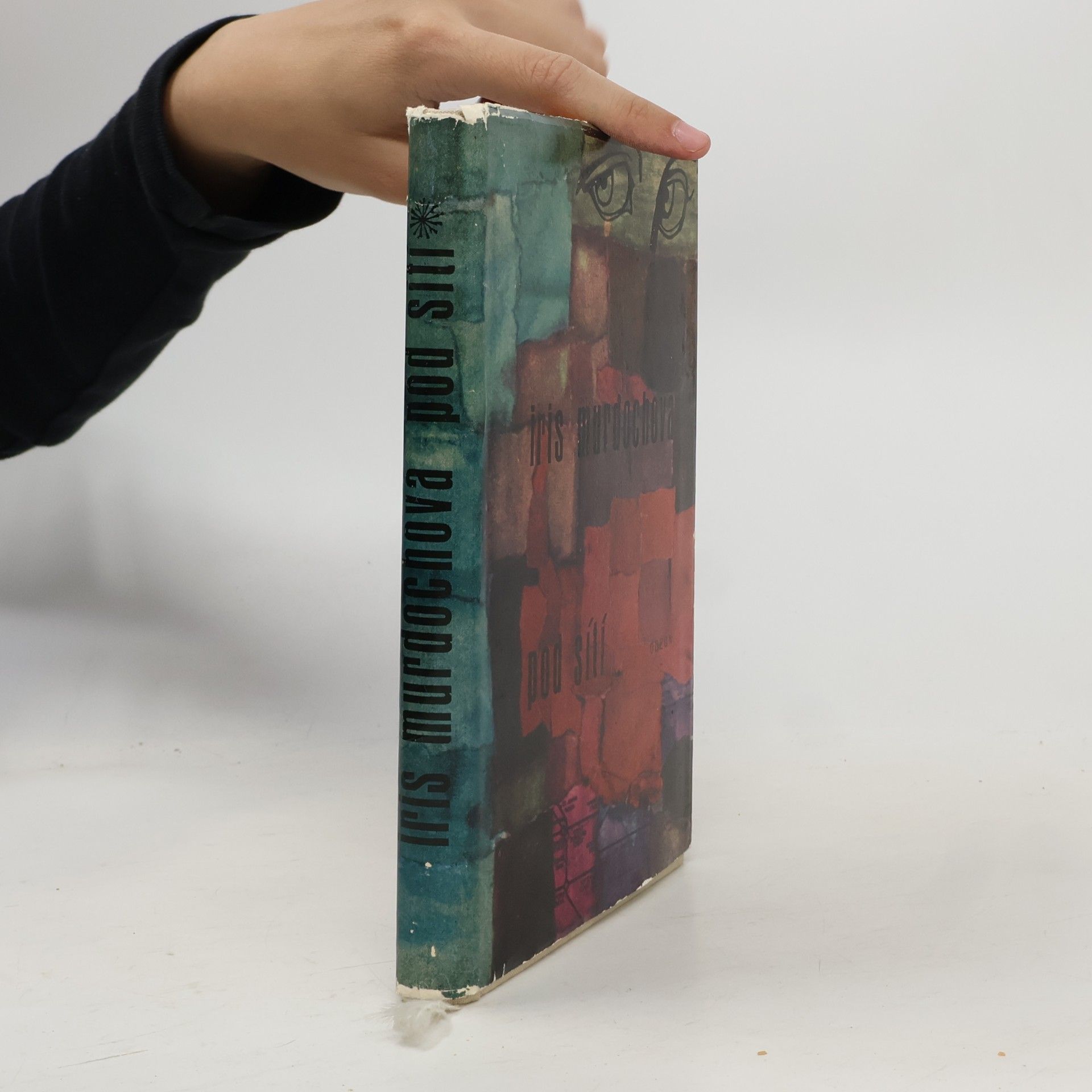 Iris Murdoch Pod sítí