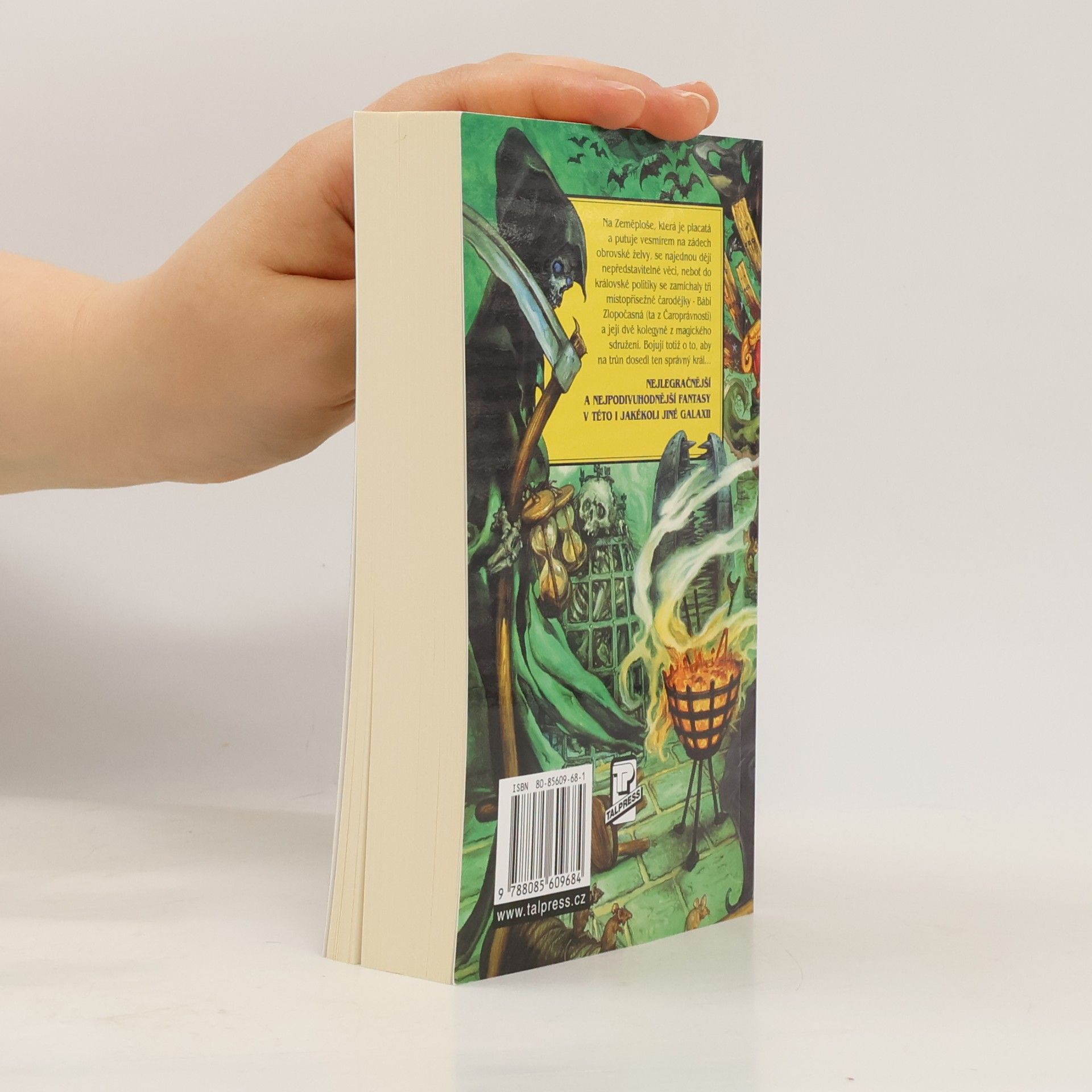 Terry Pratchett Soudné sestry