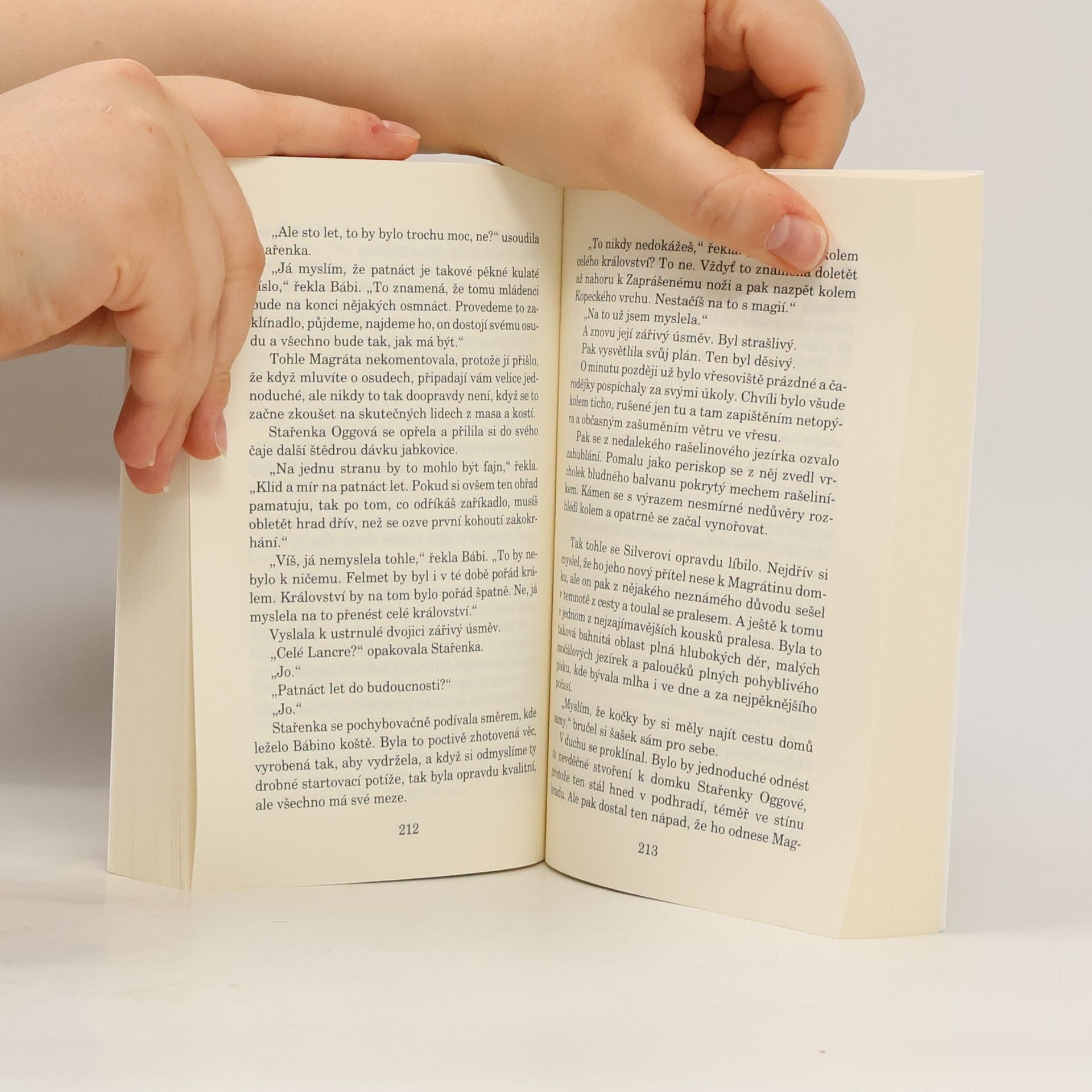 Terry Pratchett Soudné sestry