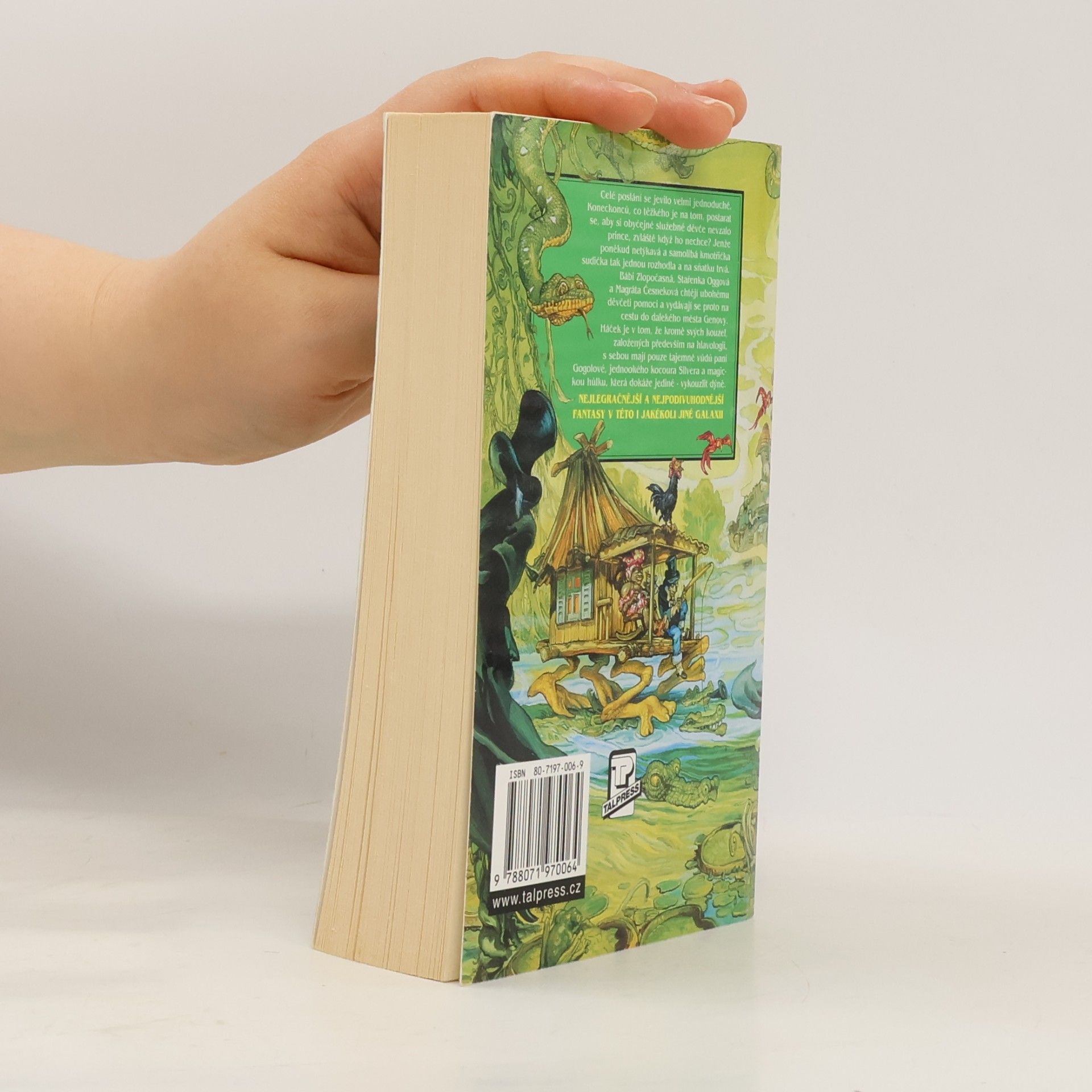 Terry Pratchett Čarodějky na cestách