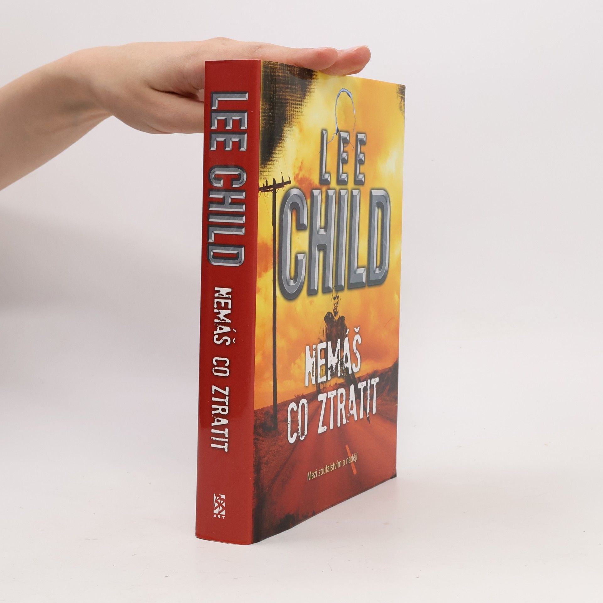 Lee Child Nemáš co ztratit