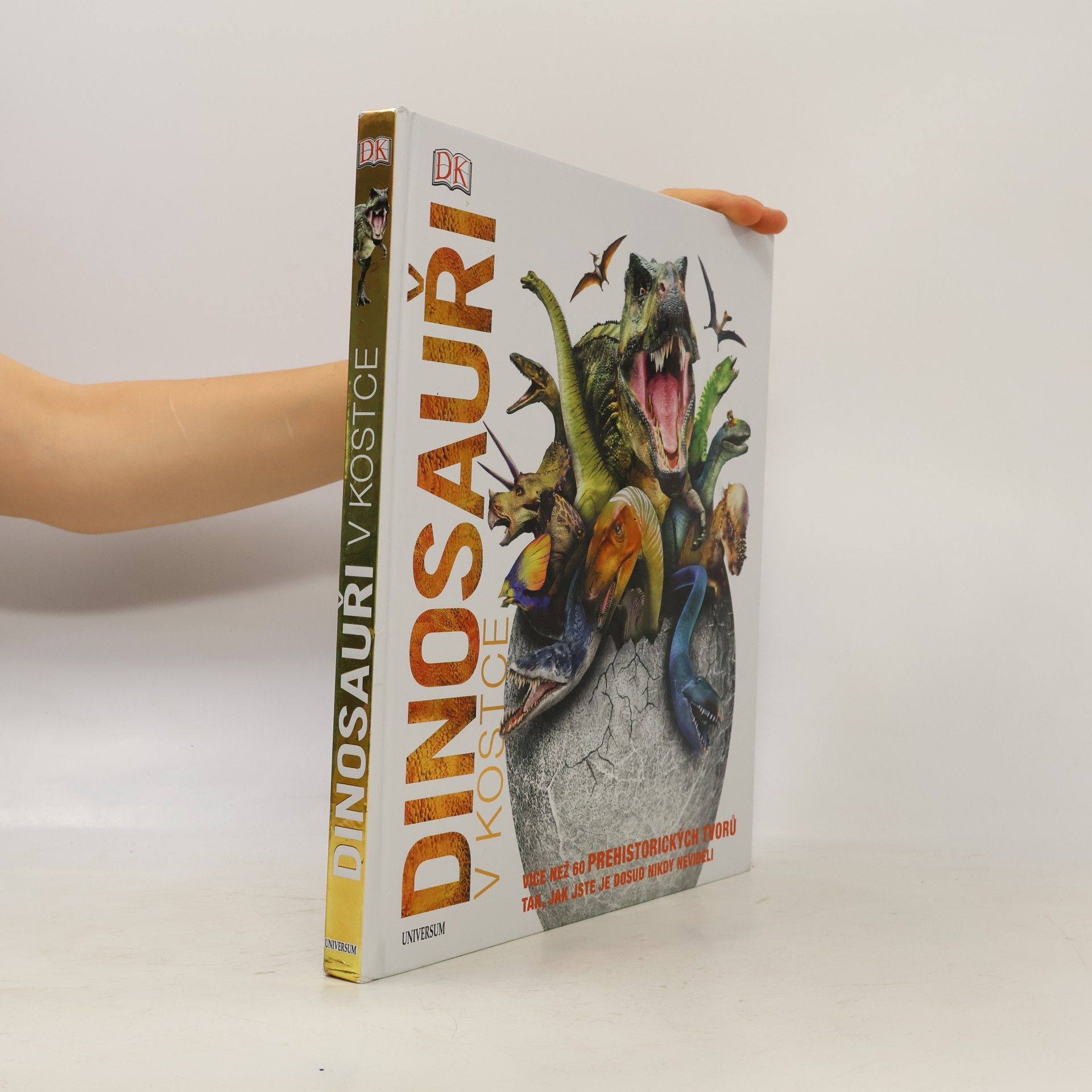 Kolektiv autorů Dinosauři v kostce
