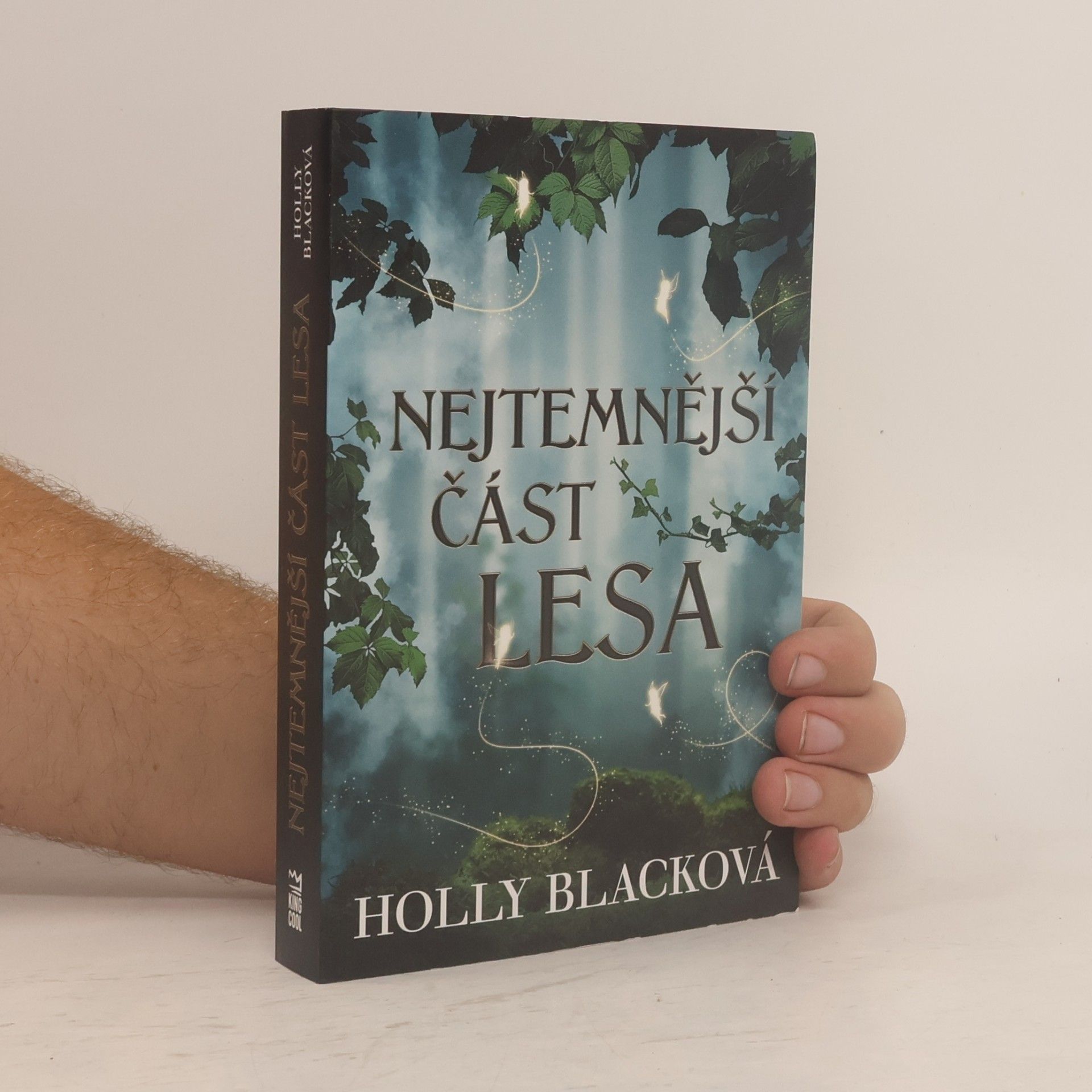 Holly Black Nejtemnější část lesa