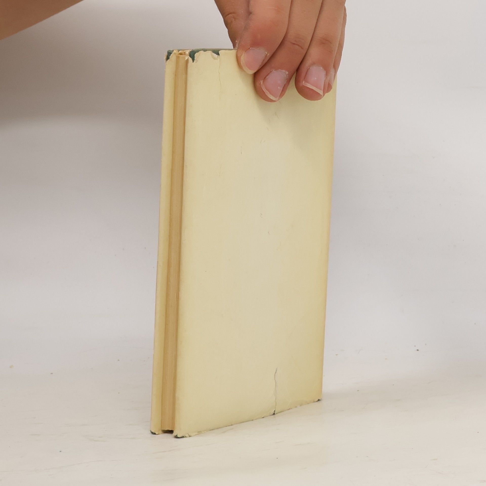 Autorenkollektiv Wenn Bach ein Tagebuch geführt hätte…
