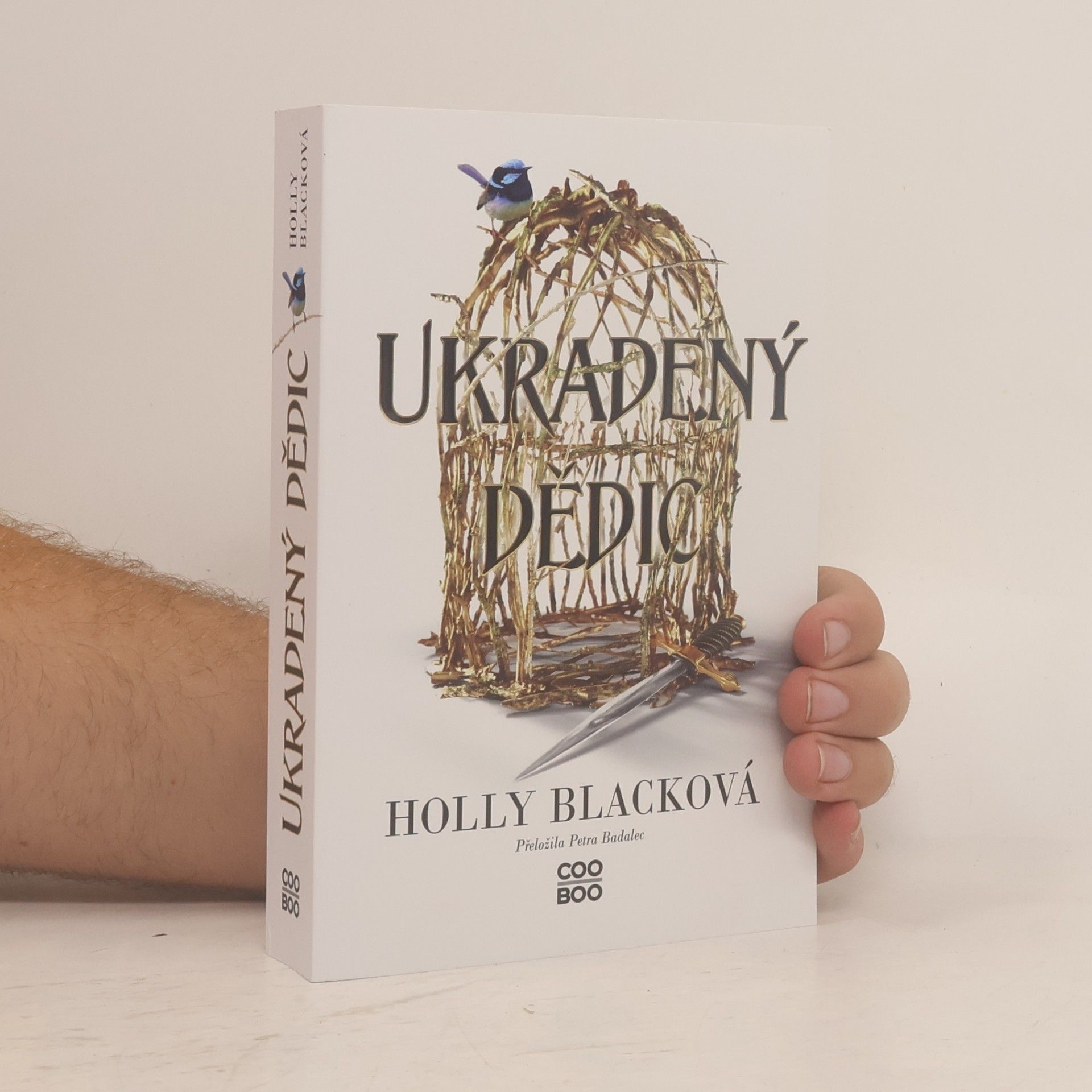Ukradený dědic
