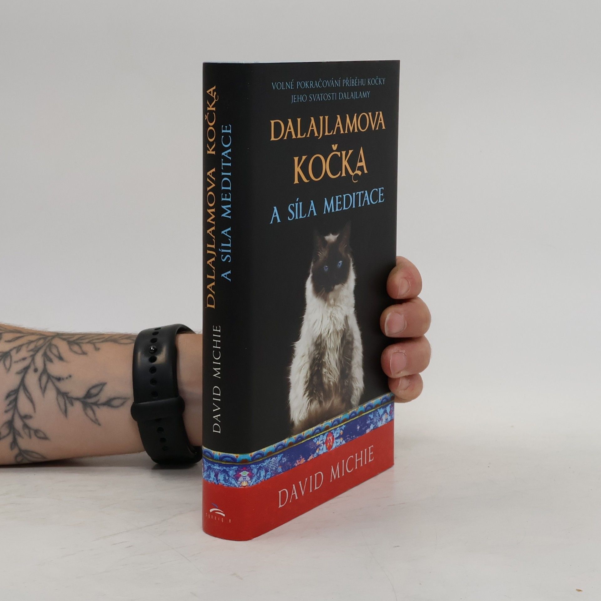 David Michie Dalajlamova kočka a síla meditace