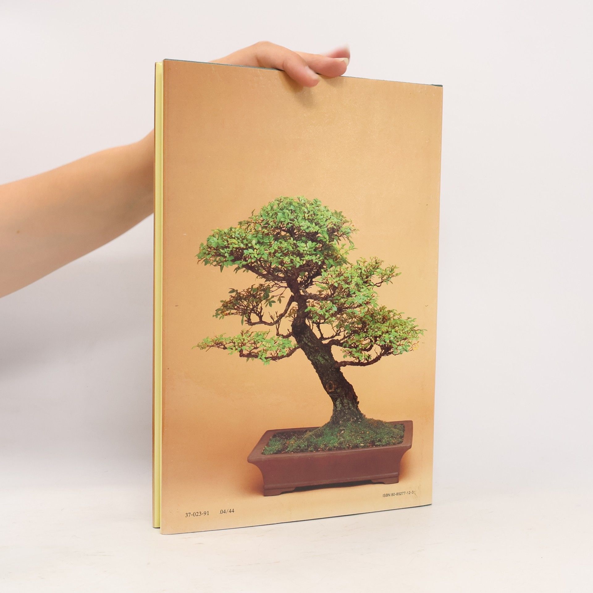 Jan Tykač Bonsai