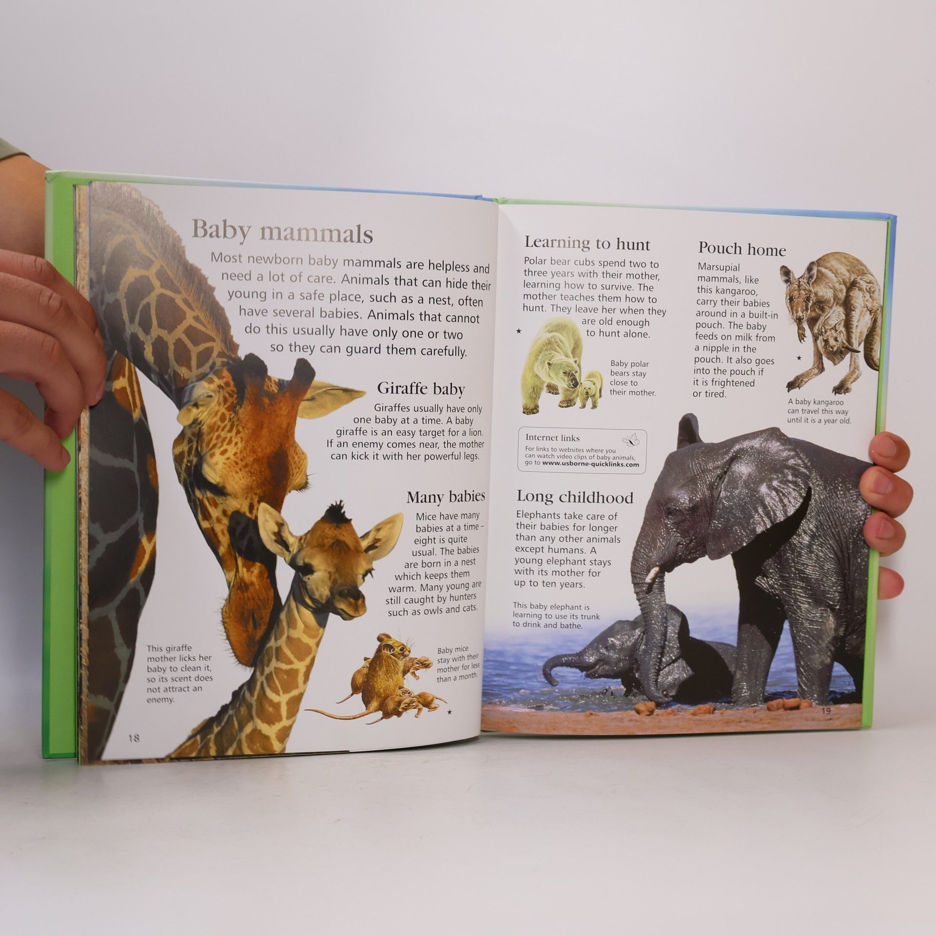 Paul Dowswell First Encyclopedia of Animals