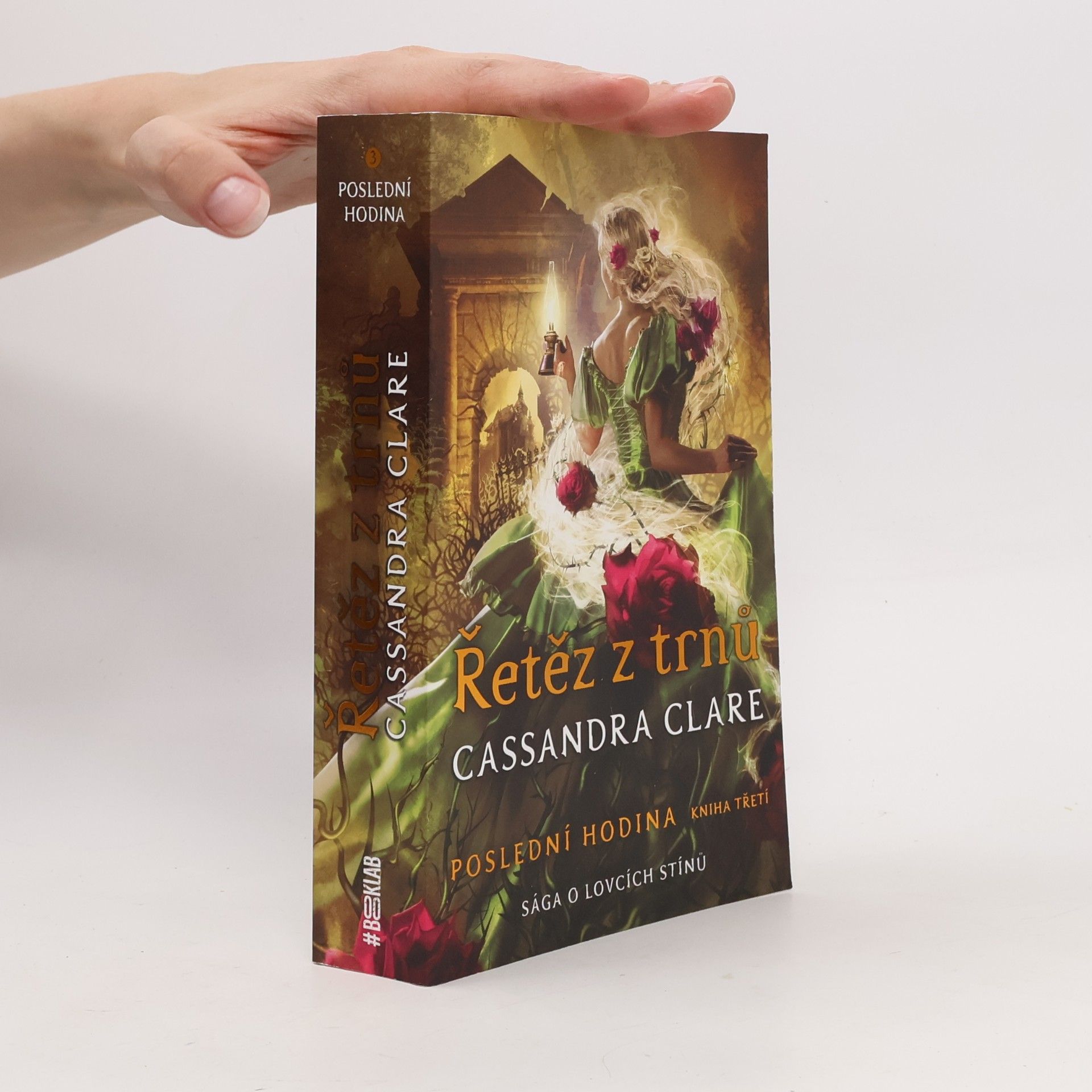 Cassandra Clare Poslední hodina 3. Řetěz z trnů