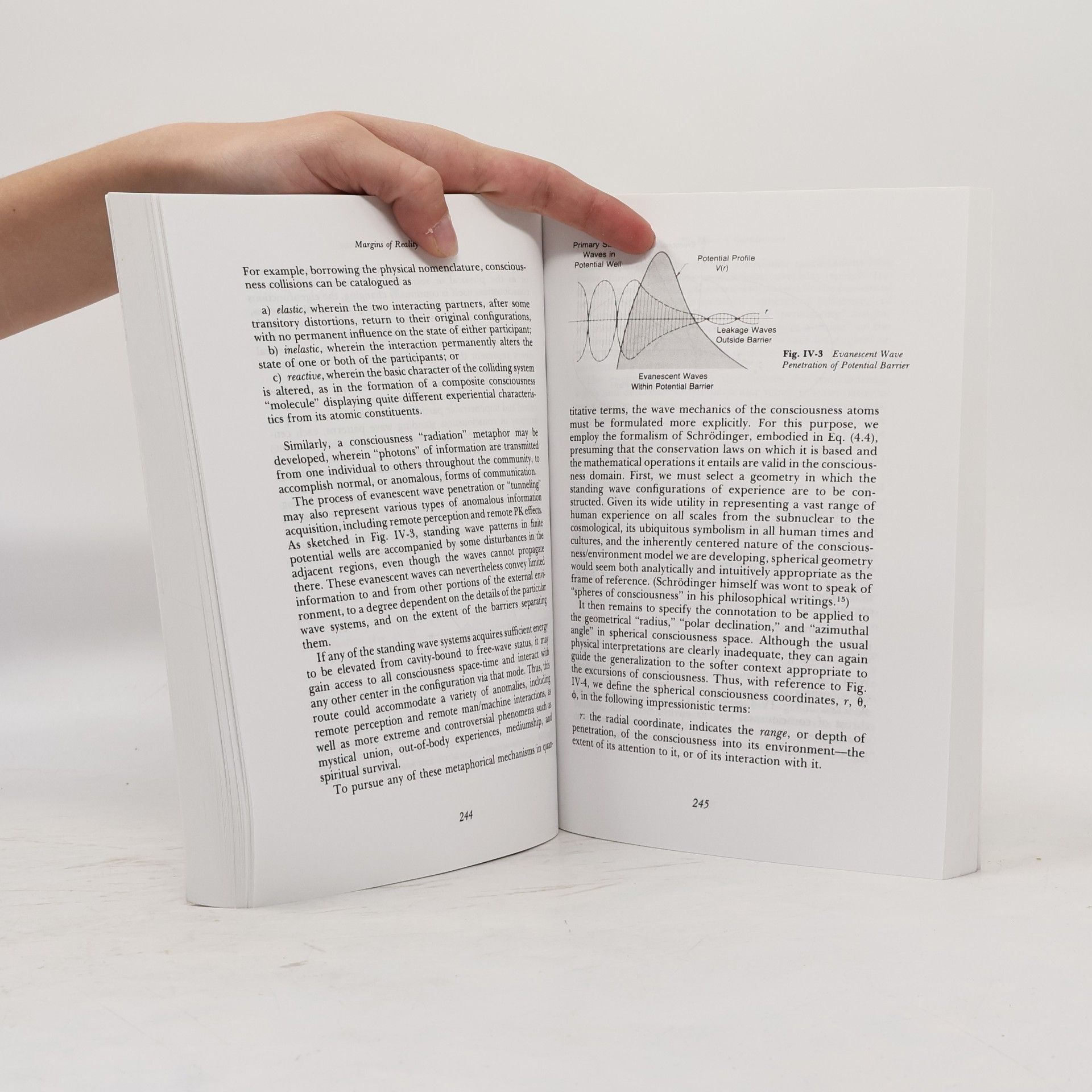 Robert G. Jahn Margins of Reality