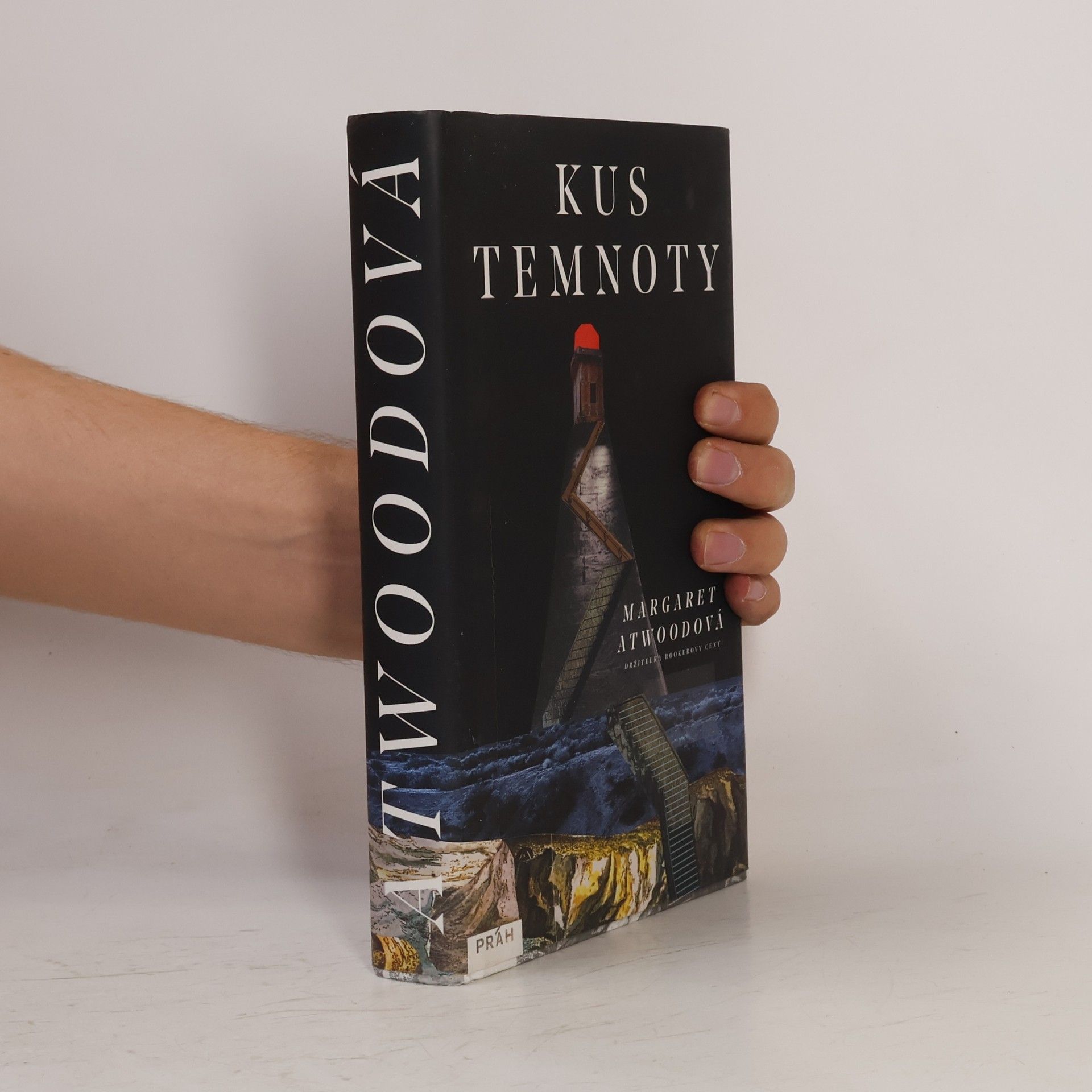 Margaret Atwood Kus temnoty