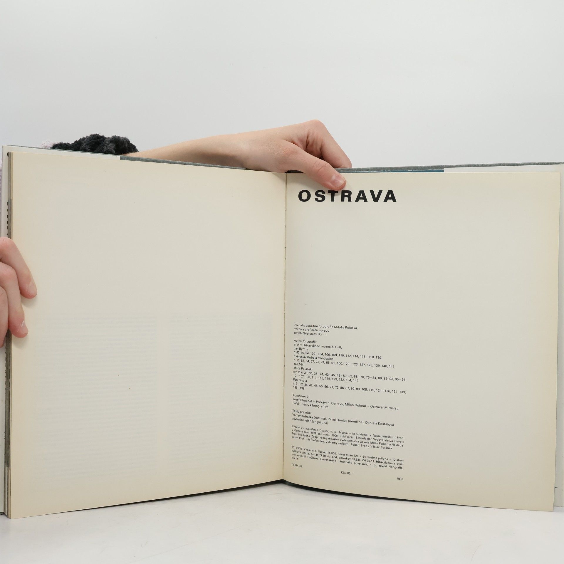 Kolektiv autorů Ostrava