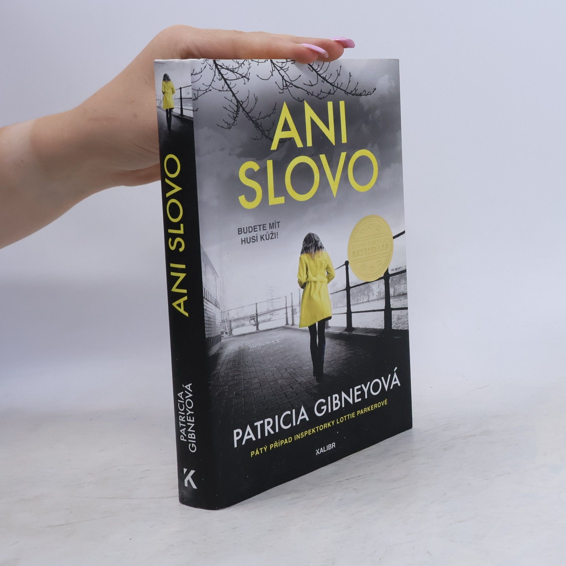 Patricia Gibney Ani slovo