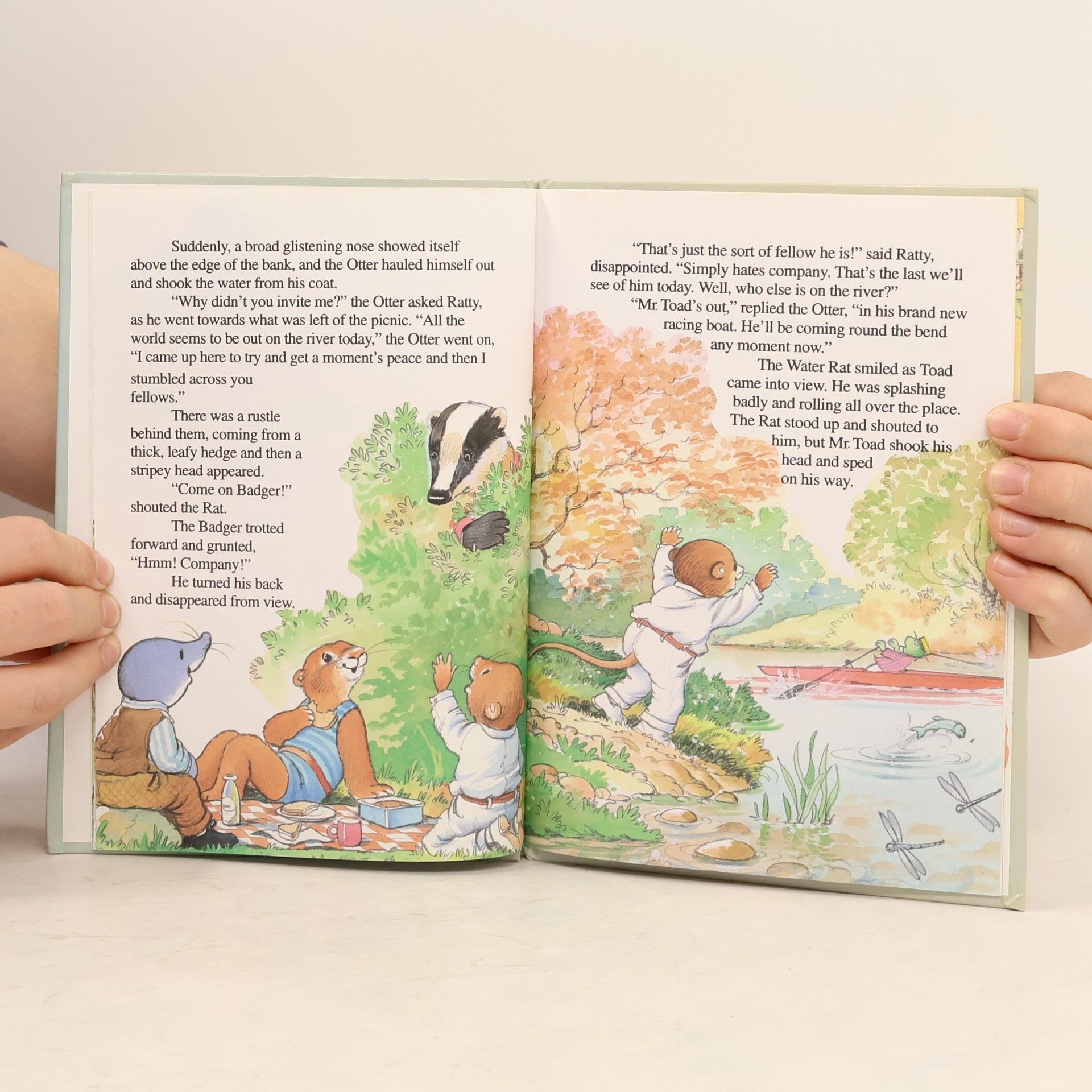 Ann McKie The Wind in the Willows