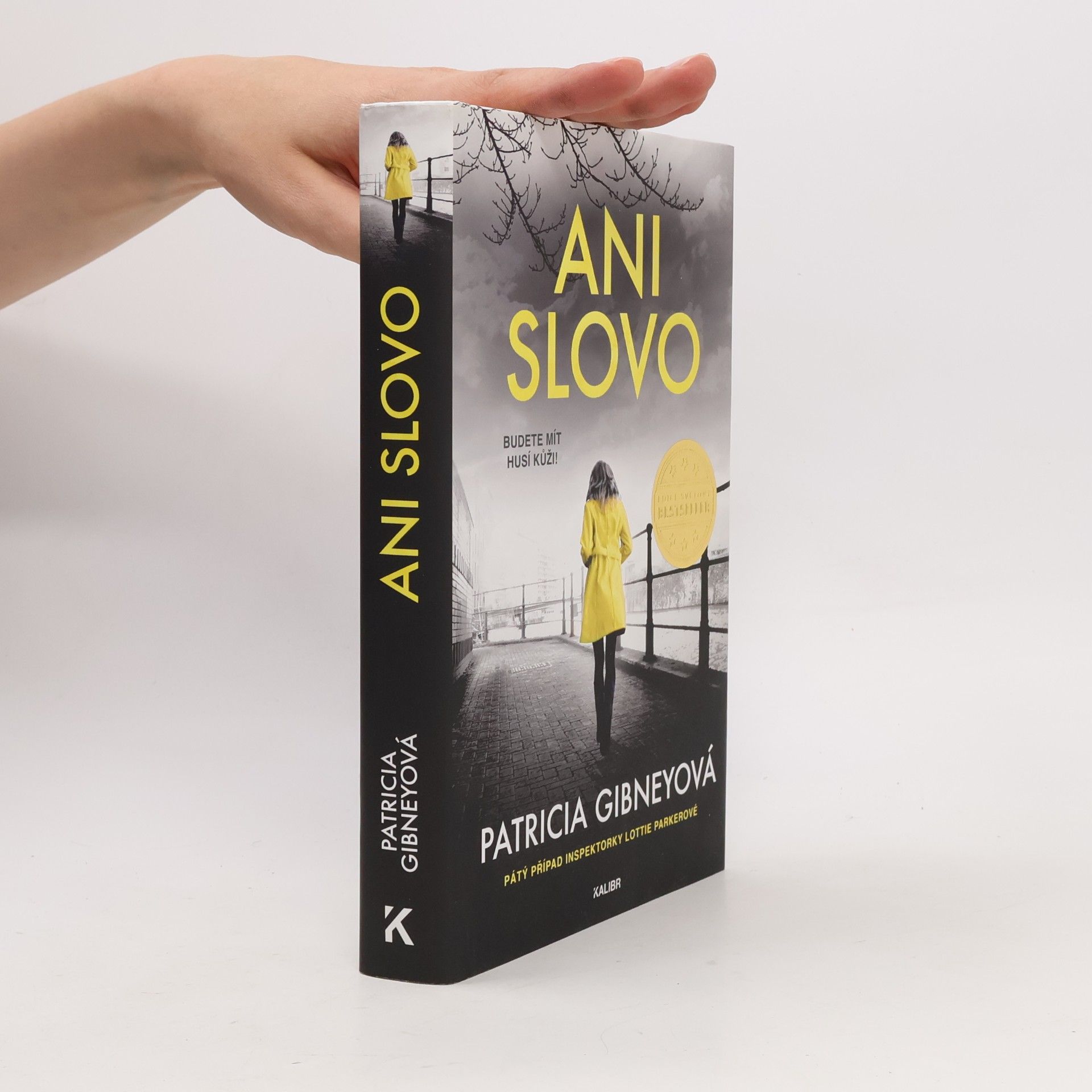 Patricia Gibney Ani slovo