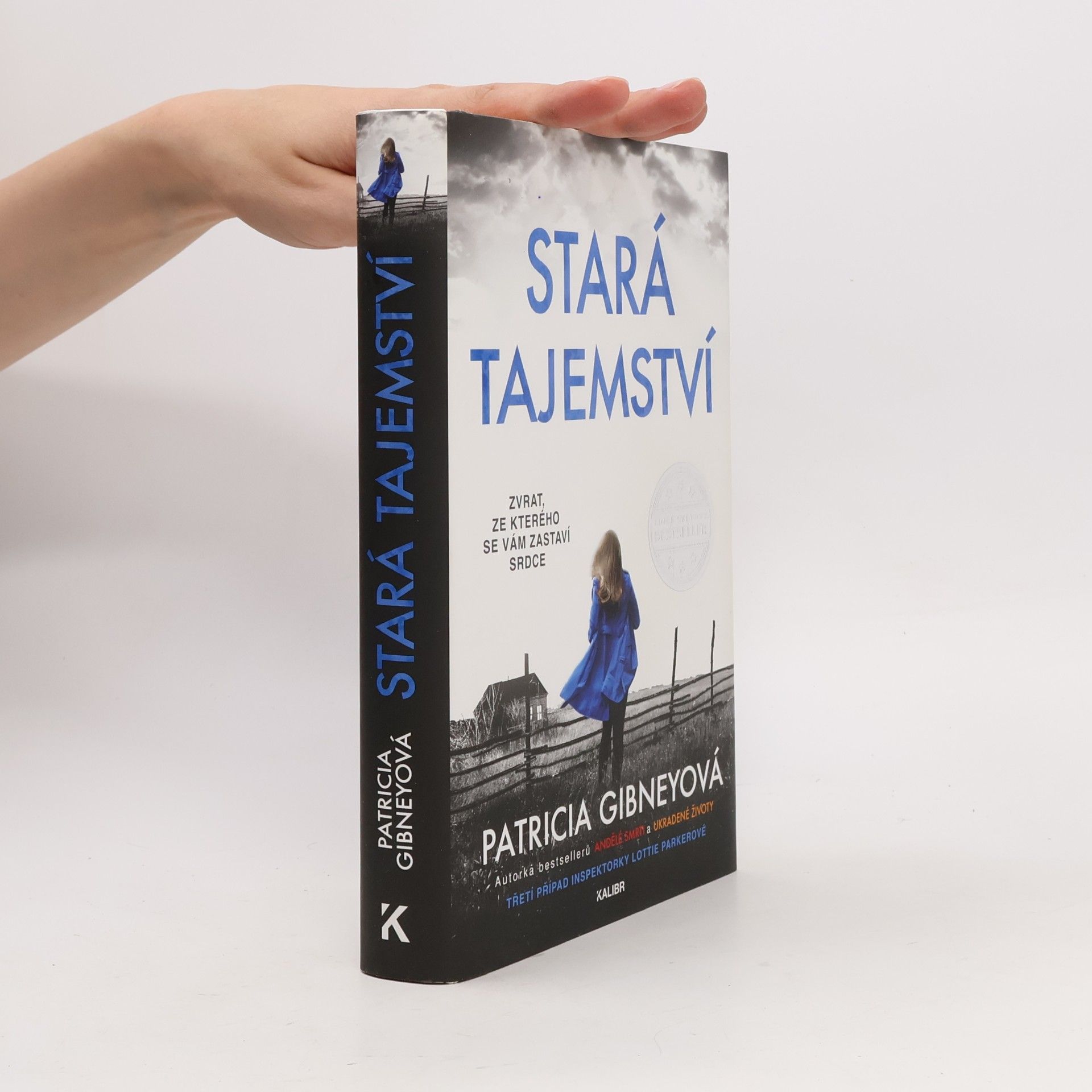 Patricia Gibney Stará tajemství