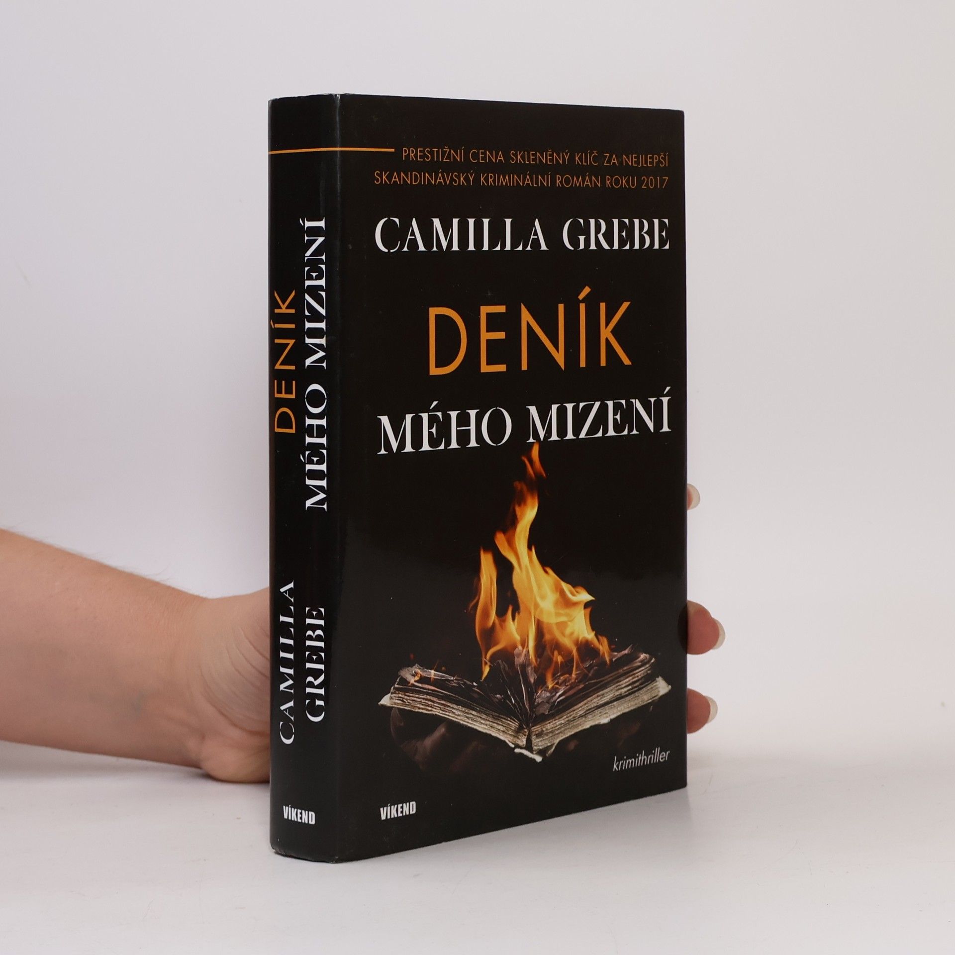 Camilla Grebe Deník mého mizení