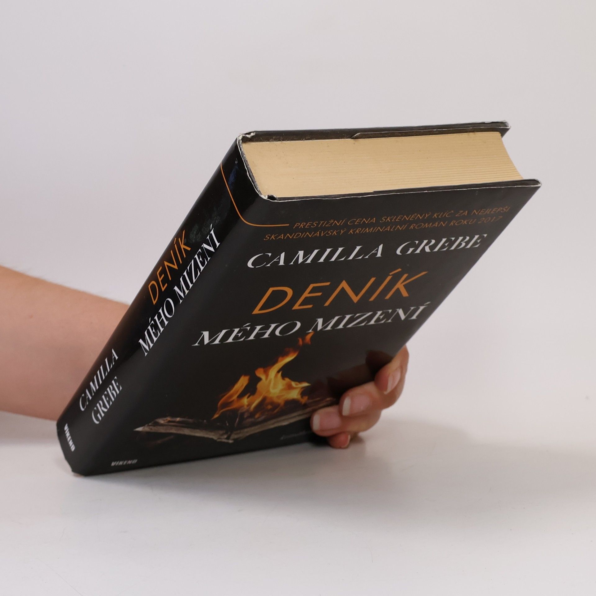 Camilla Grebe Deník mého mizení