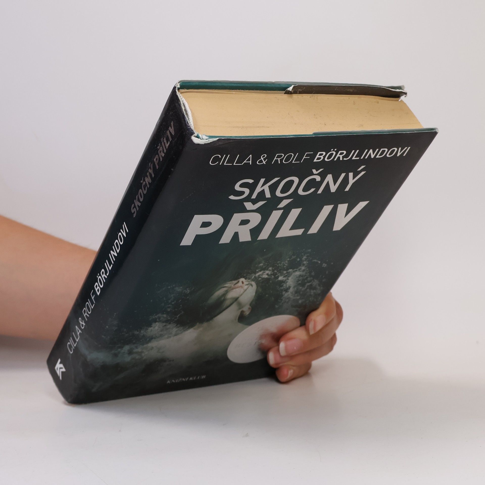Cilla Börjlind Skočný příliv