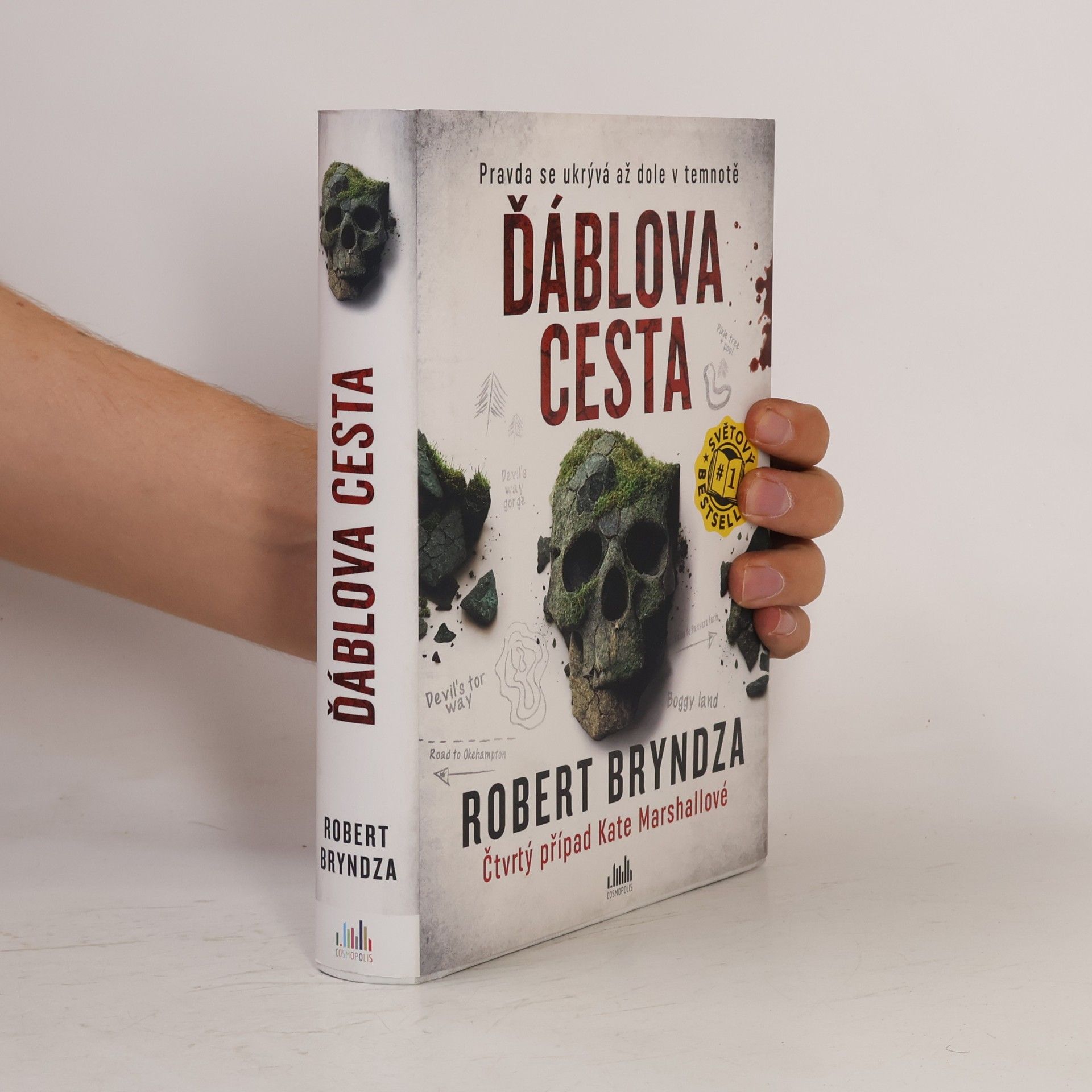 Robert Bryndza Ďáblova cesta