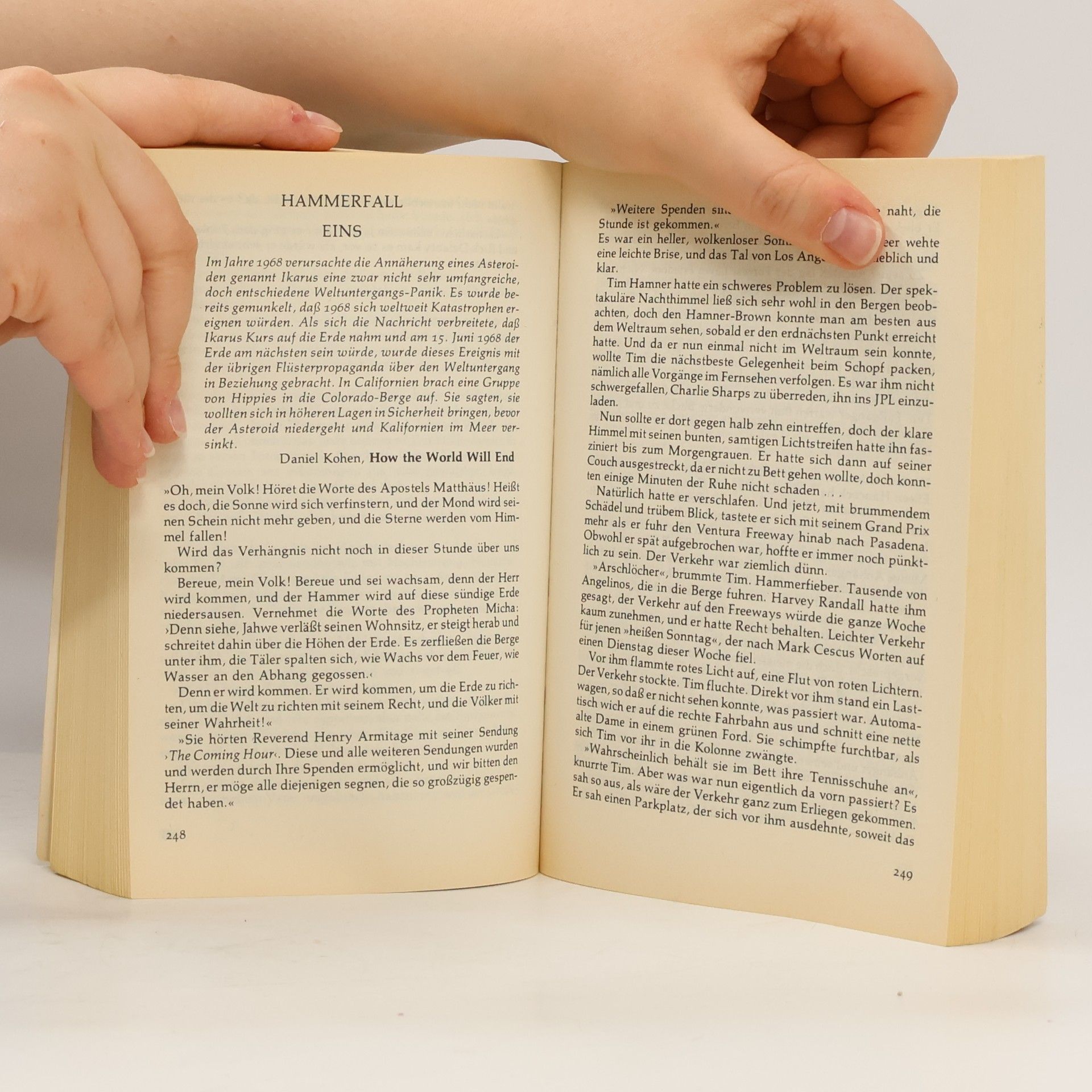 Larry Niven Luzifers Hammer