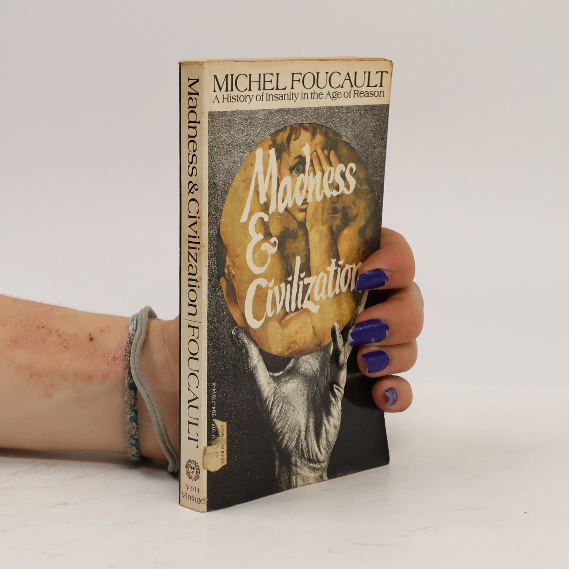 Michel Foucault Madness & Civilization