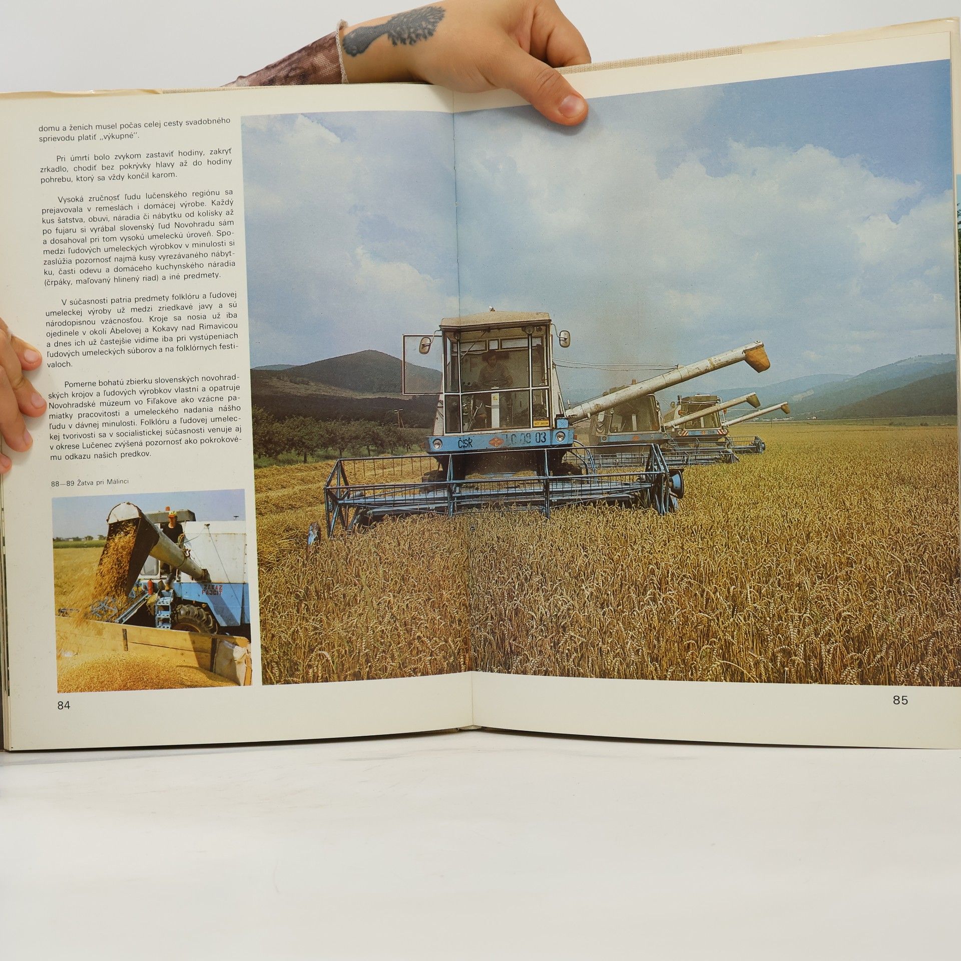 Autorenkollektiv Okres Lučenec vo fotografii