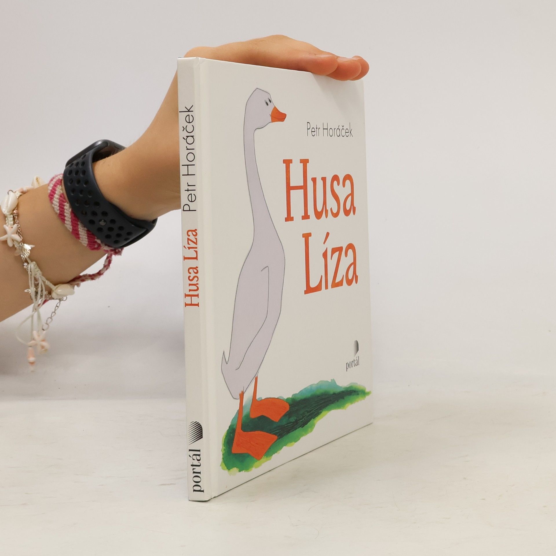 Petr Horáček Husa Líza