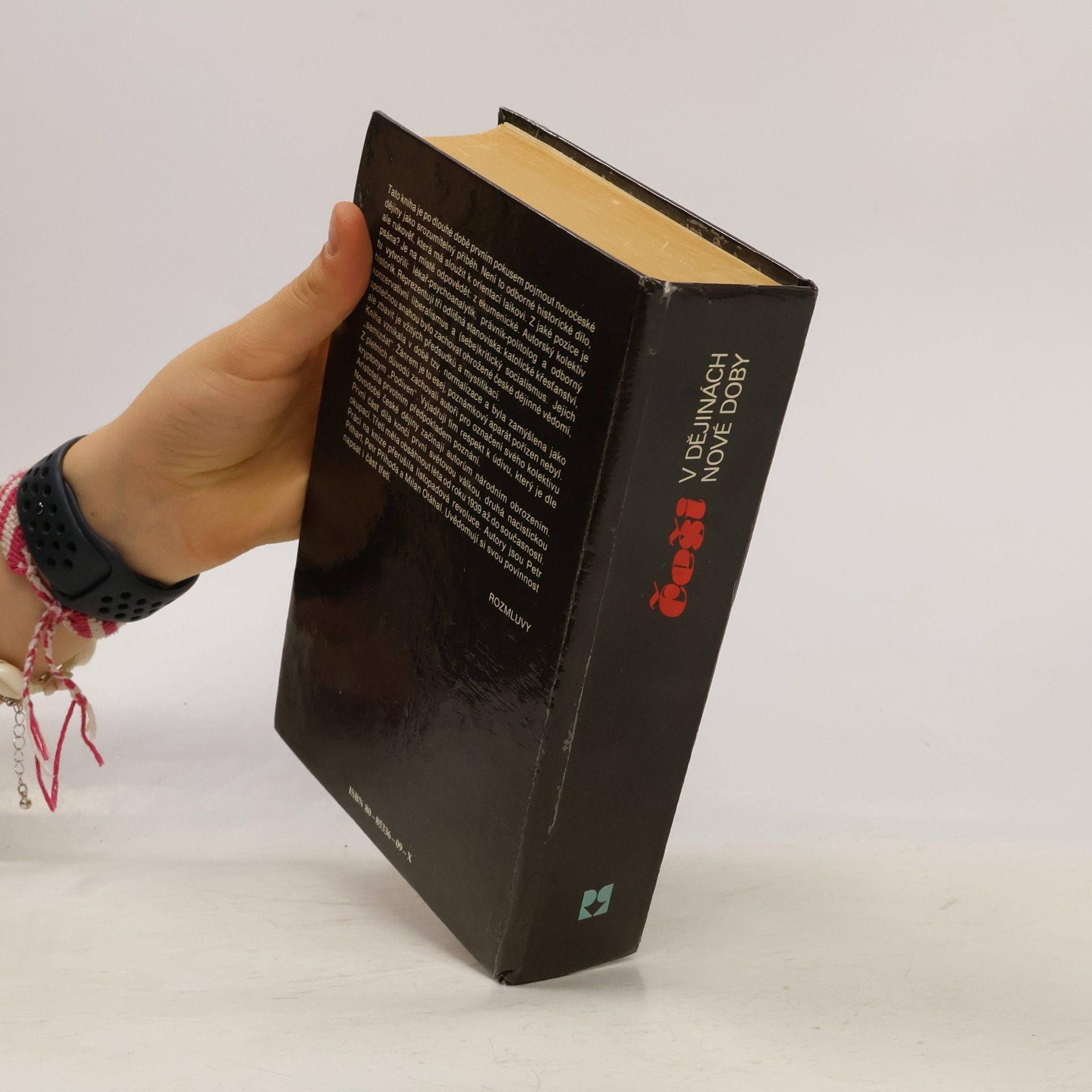Various authors Češi v dějinách nové doby : pokus o zrcadlo